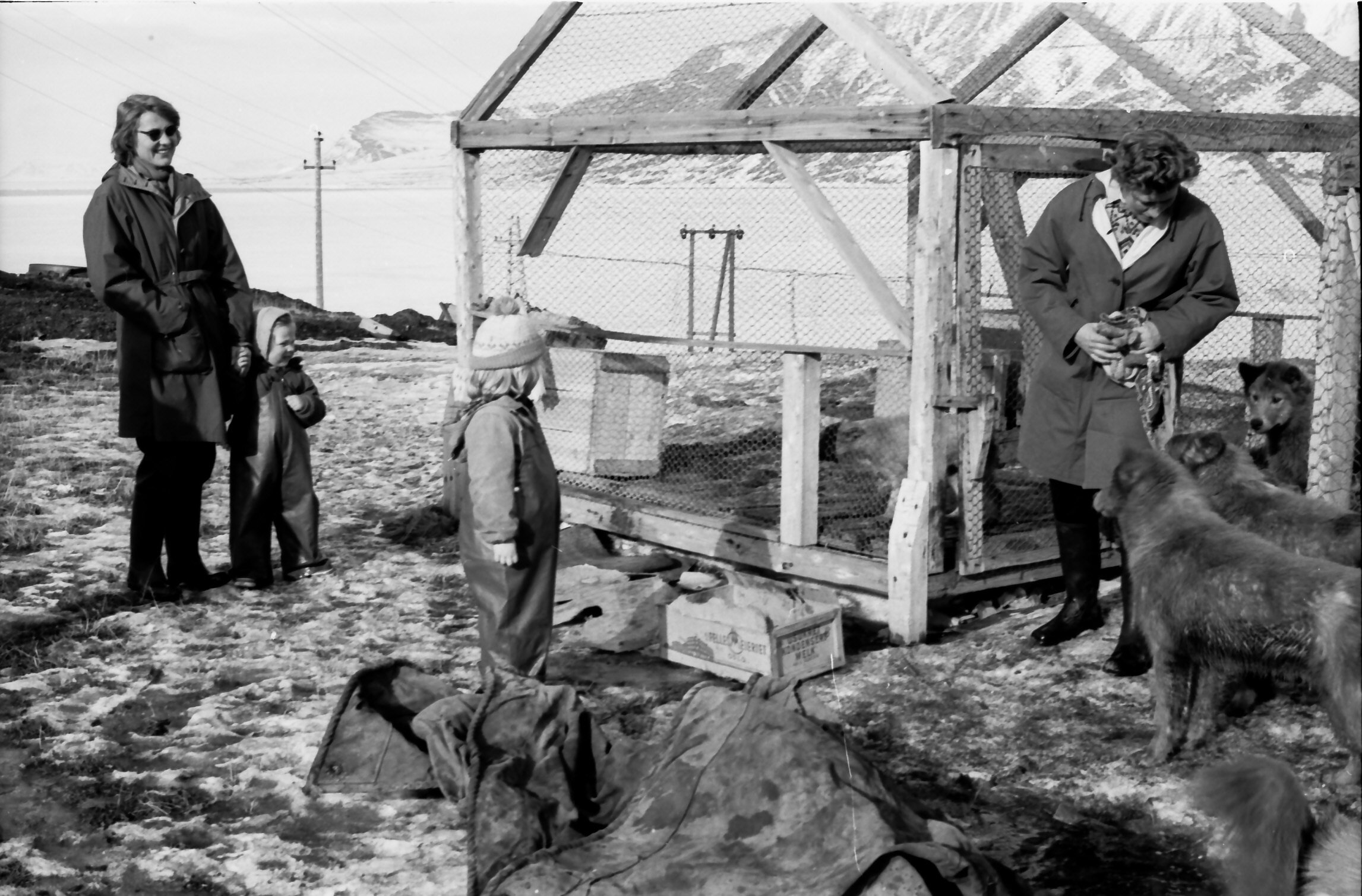 Mormor ved hundegården i Longyearbyen. 