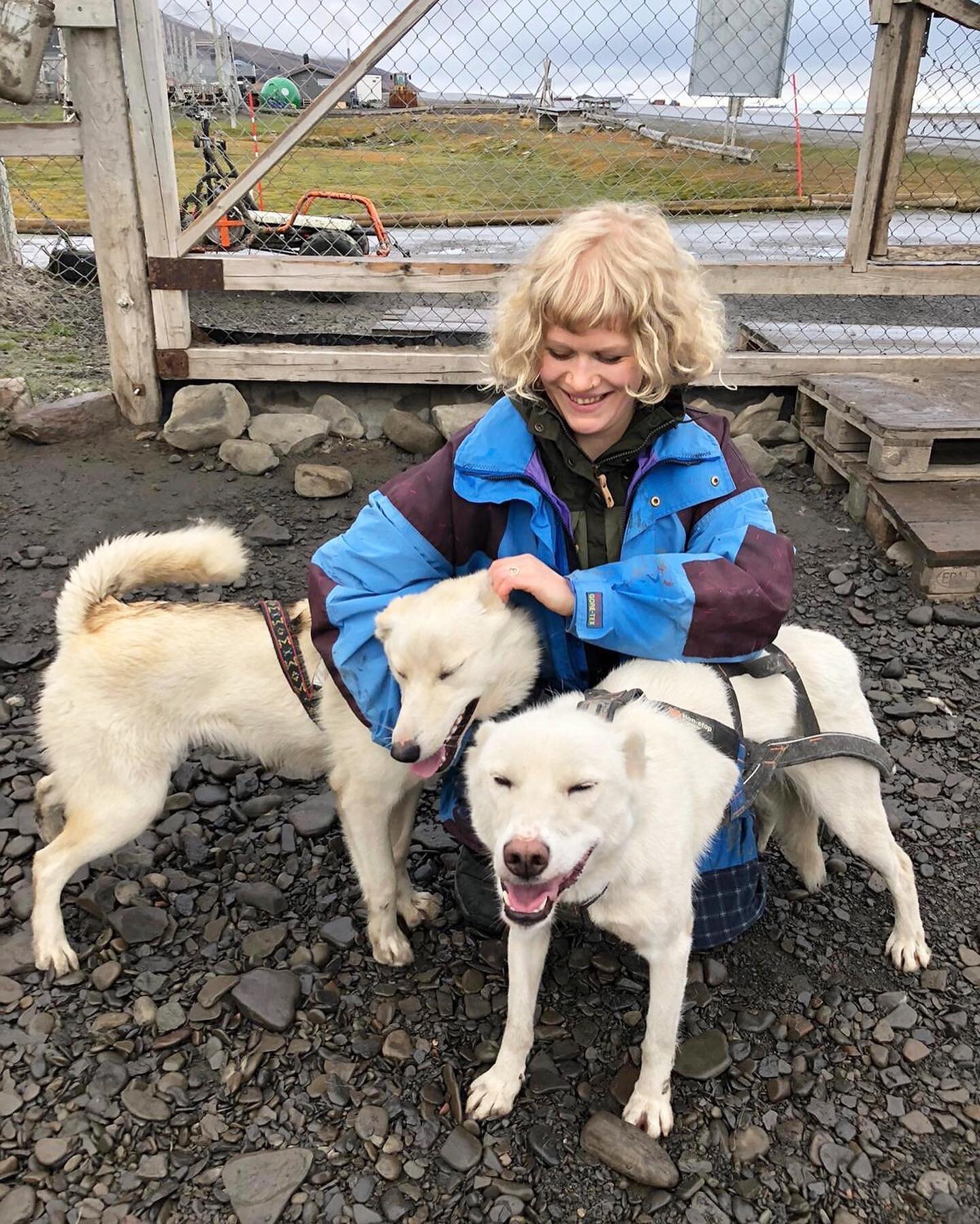 Never happier. 
.
.
.
.
#huskysledding #svalbard #dogsledding