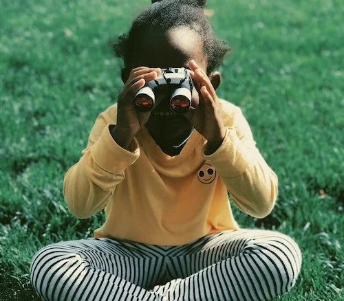 Capita Social Vision