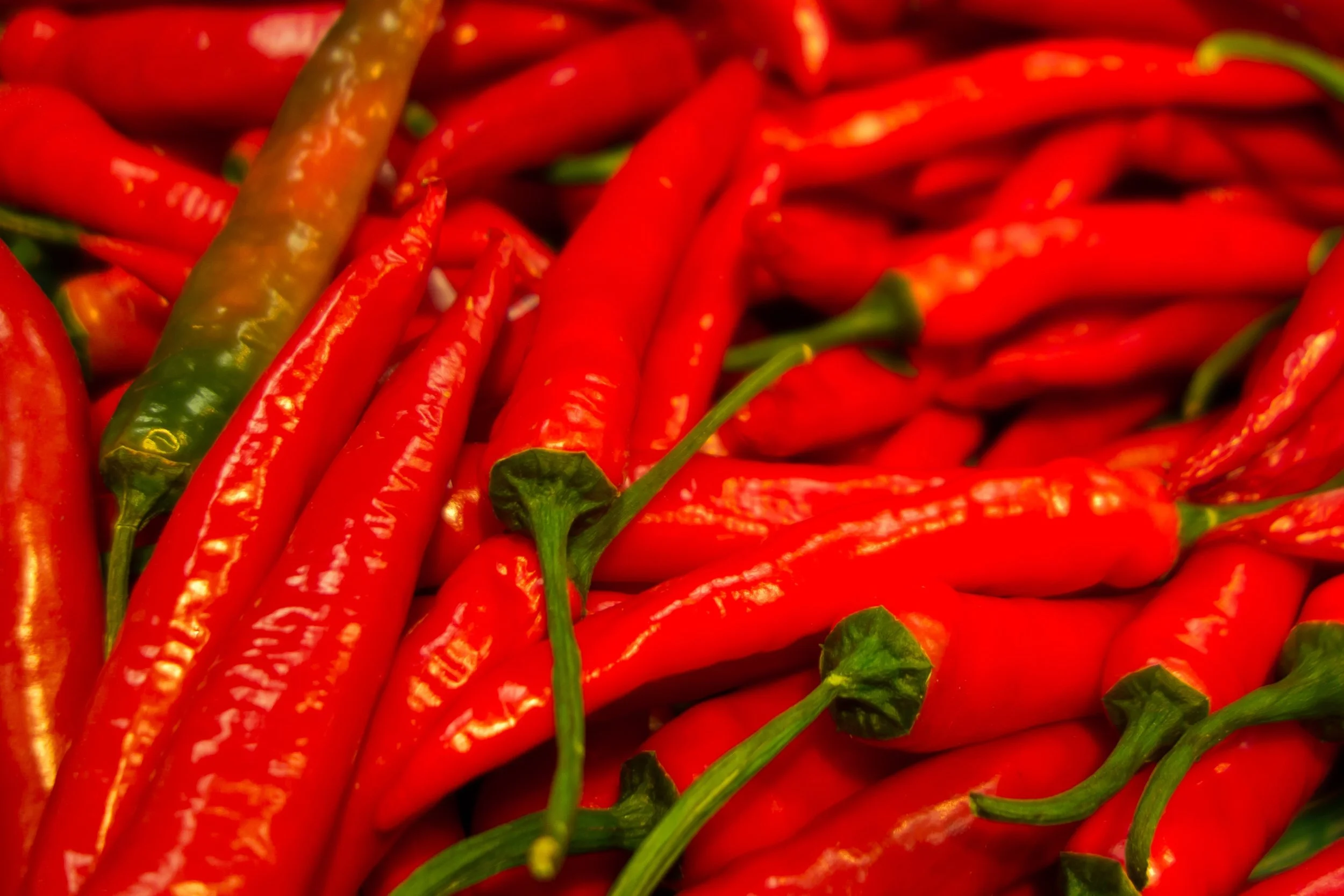 conte_hot_sauce_pepper_website_background.jpg