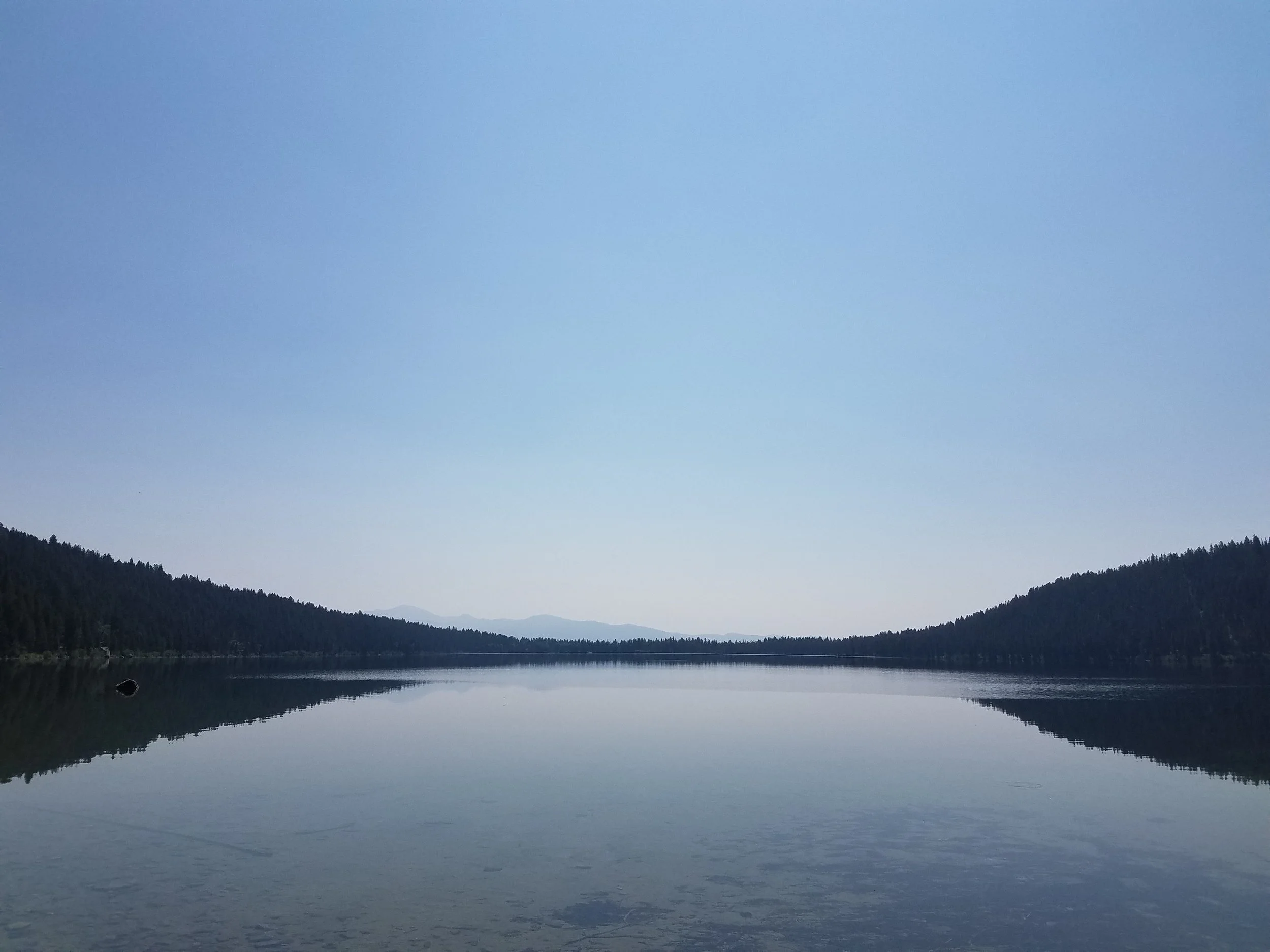 20170827_130521.jpg
