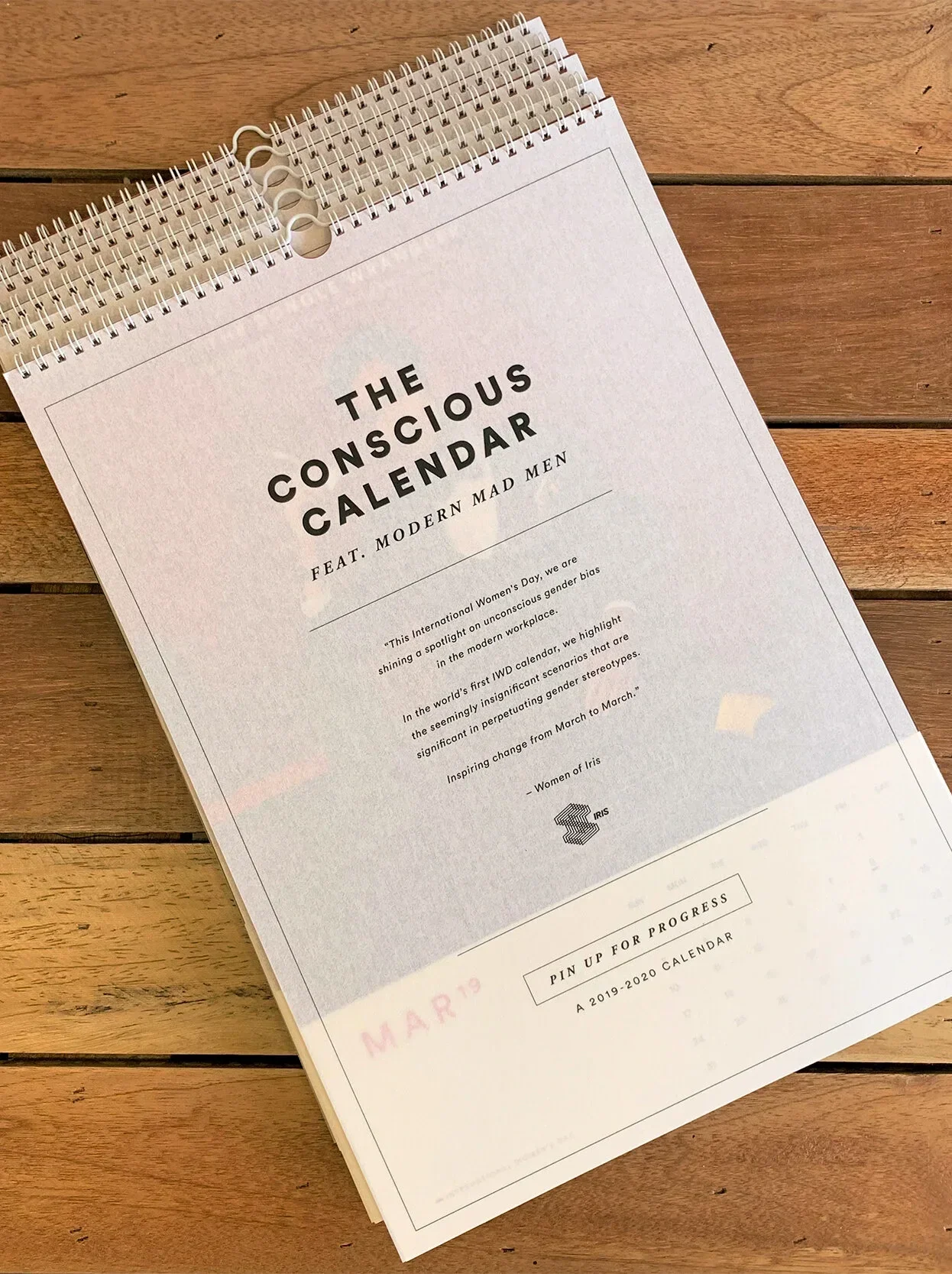 The Conscious Calendar | IWD 2019