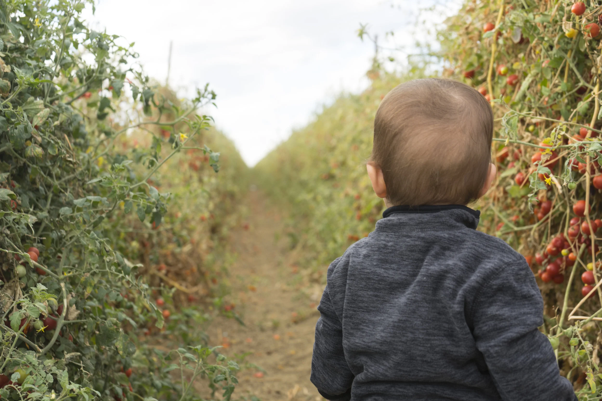 baby in field.jpg