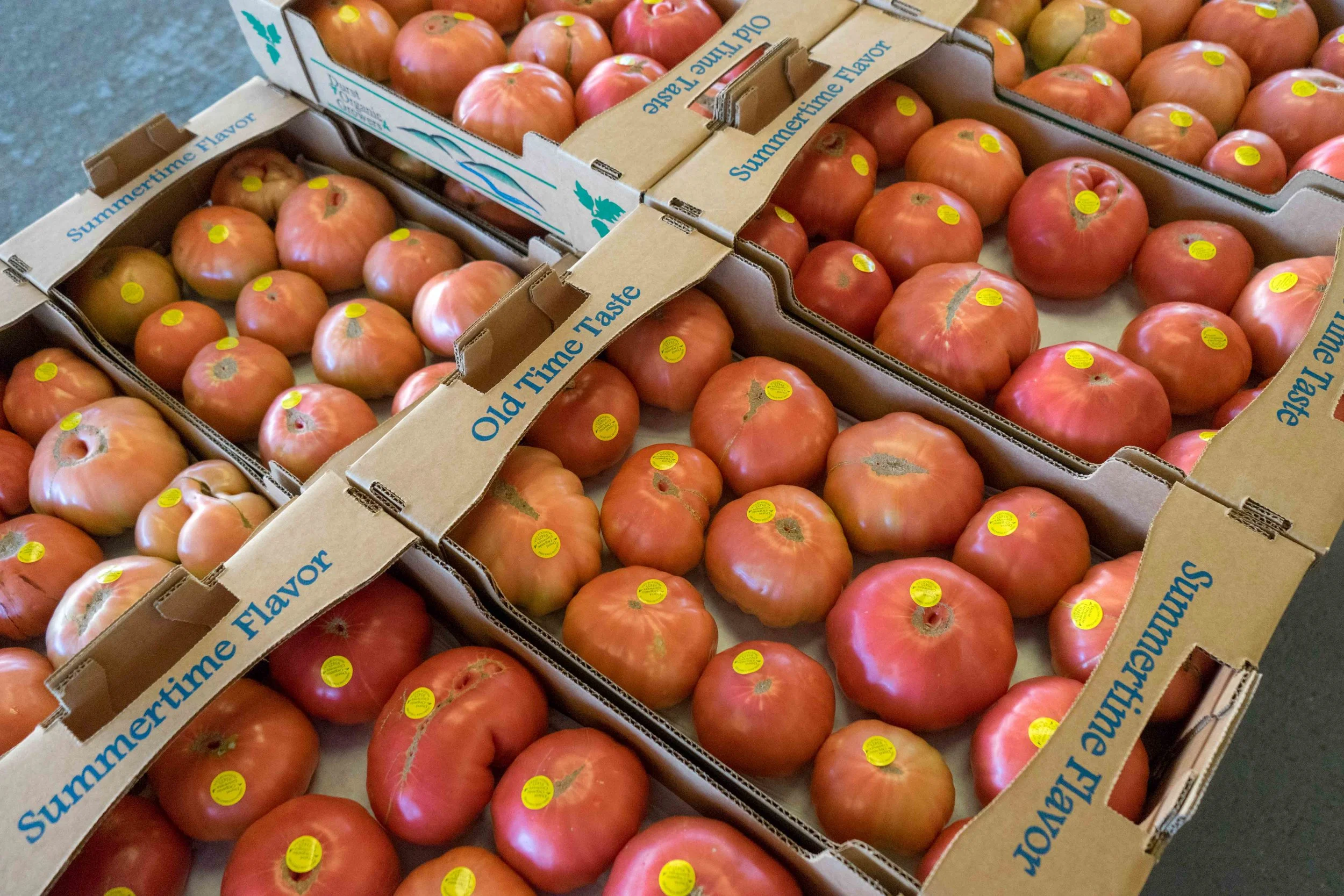 Why We Won't Be Growing Heirlooms in 2018