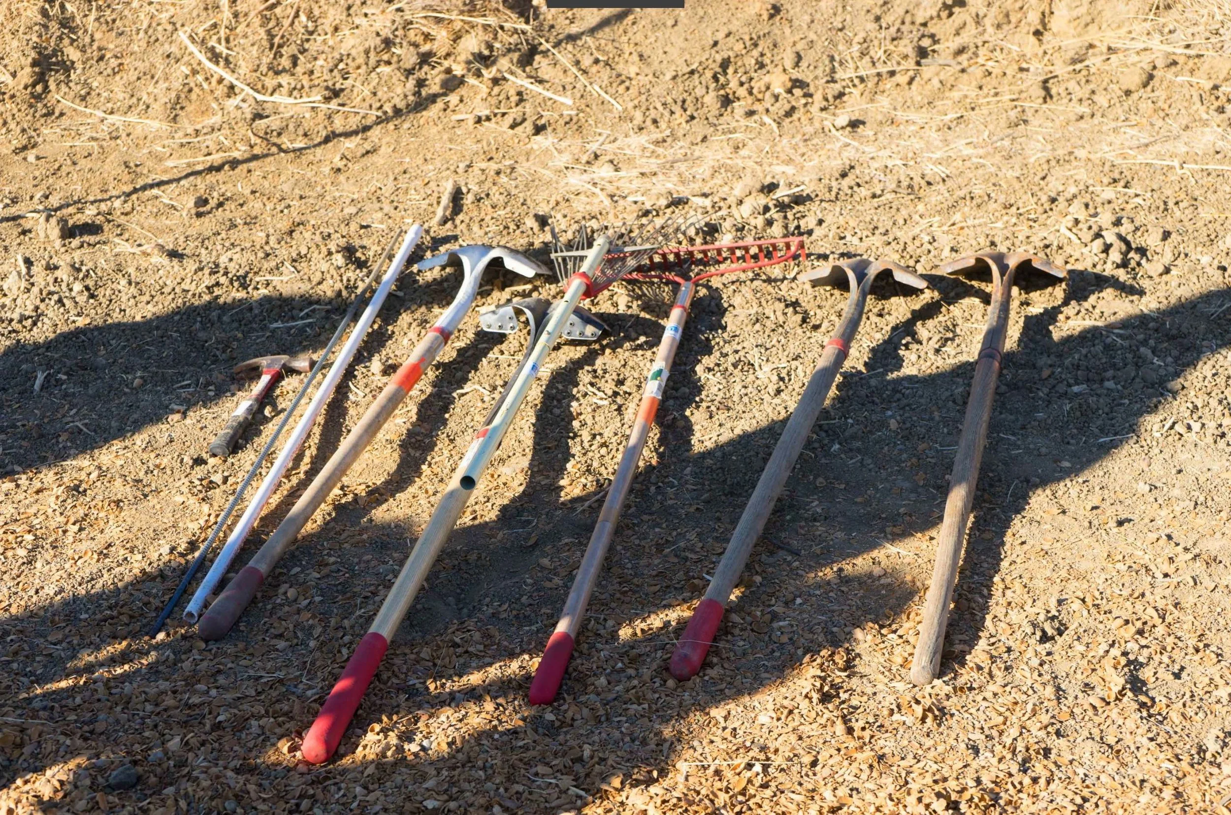 FALL HEDGEROW PROJECT