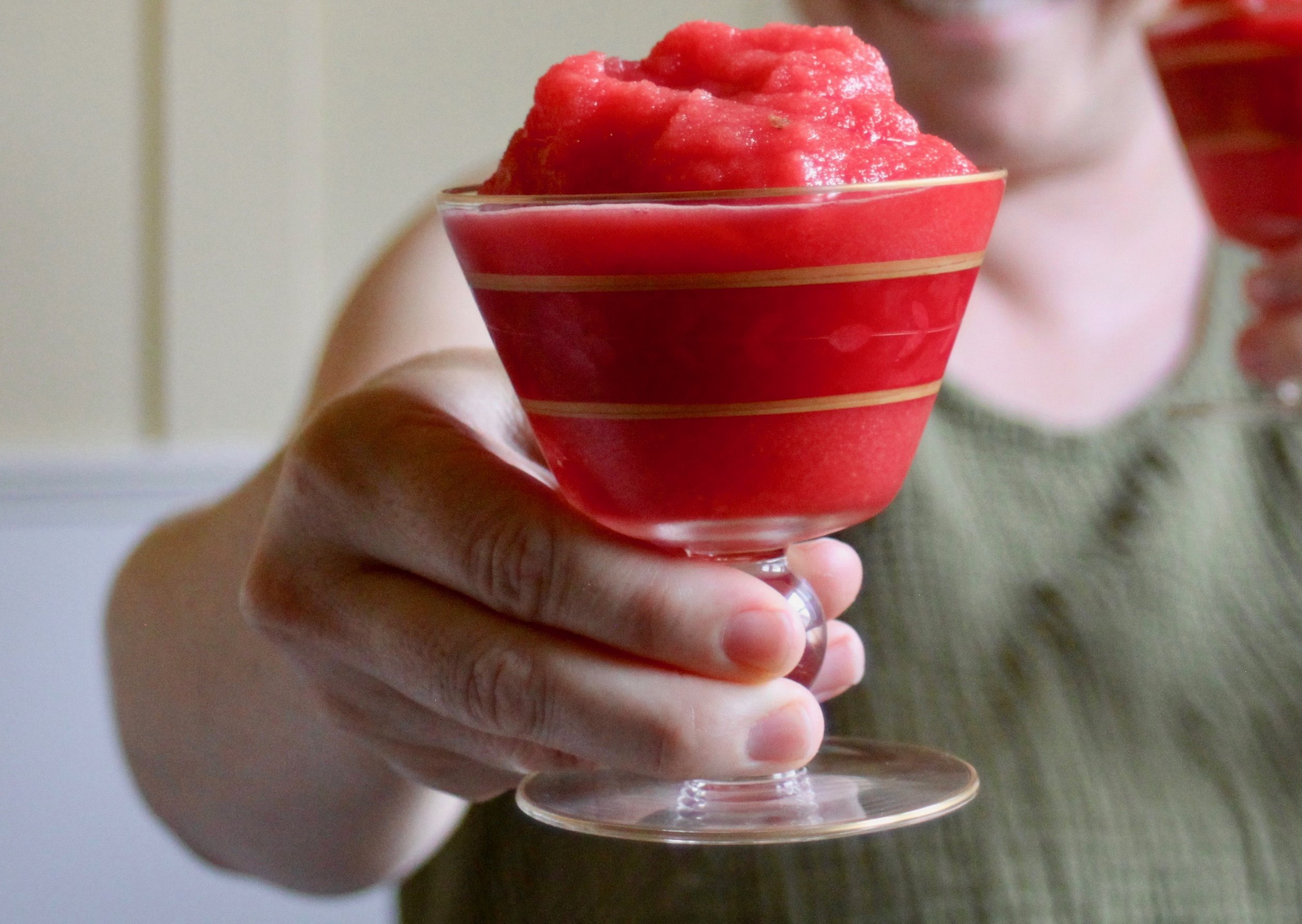Easy Homemade Watermelon Slushy — Durst Organic Growers