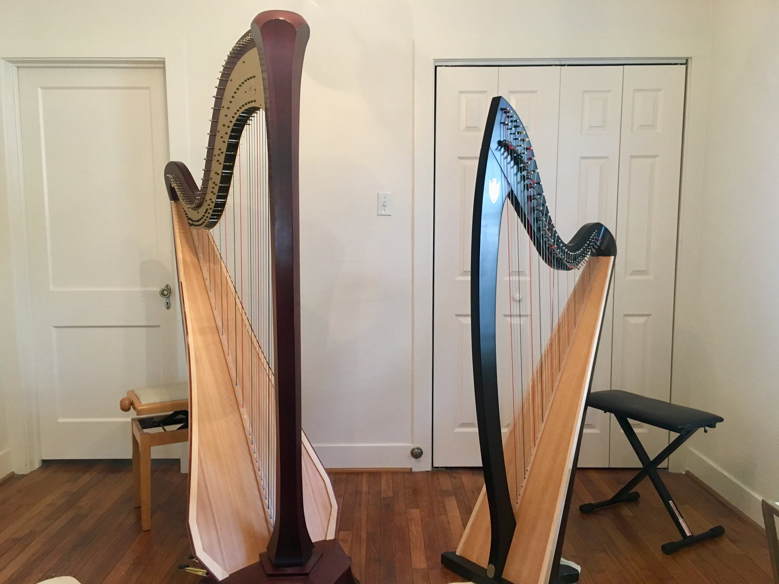  Stephanie's studio space allows for lessons on a Lyon &amp; Healy concert grand pedal harp or Troubadour lever harp. 