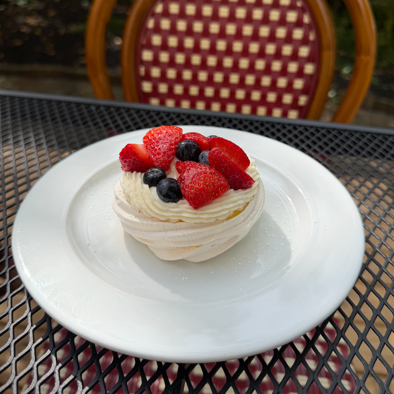 PAVLOVA.png