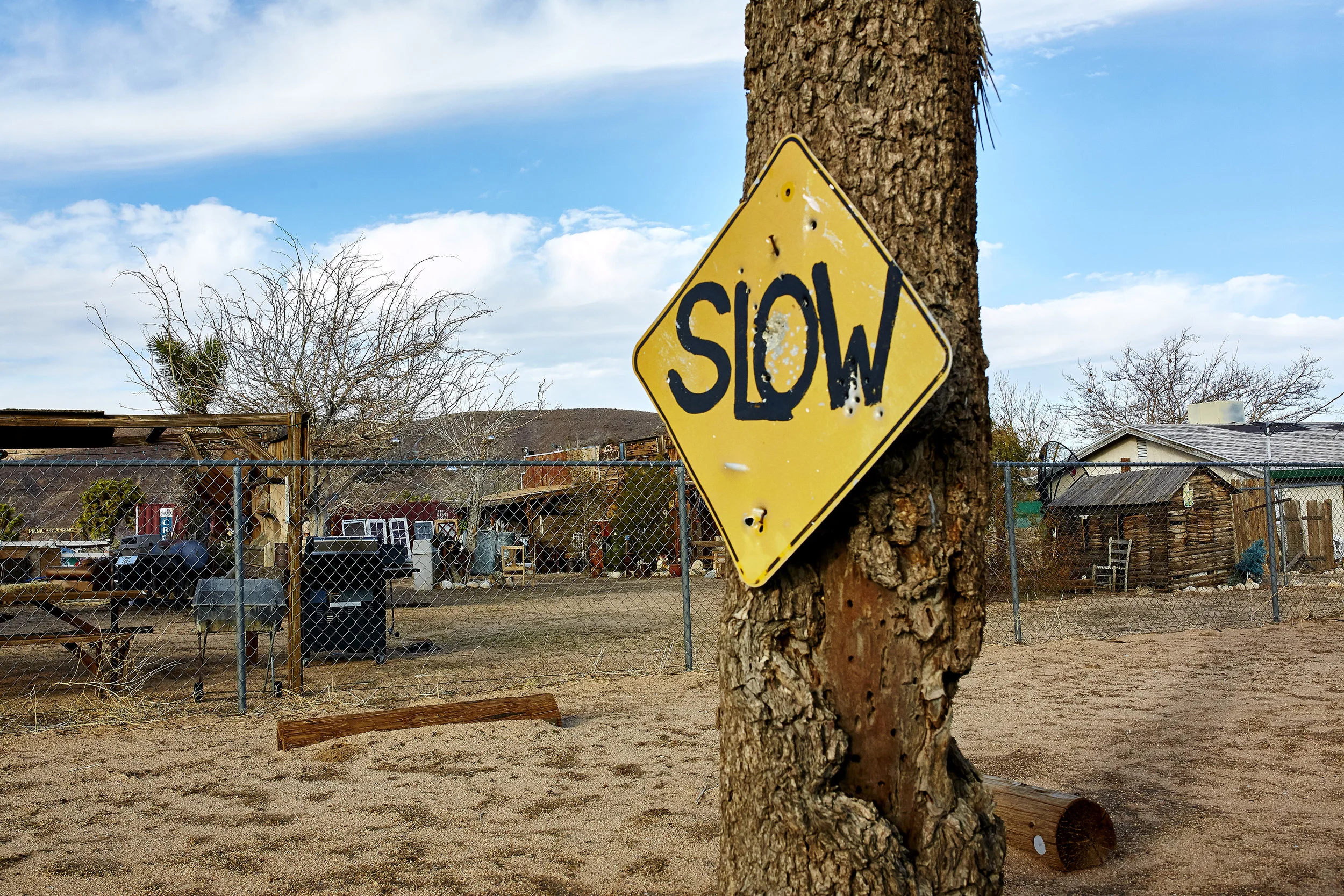 x2017-01-26x646 1.jpg