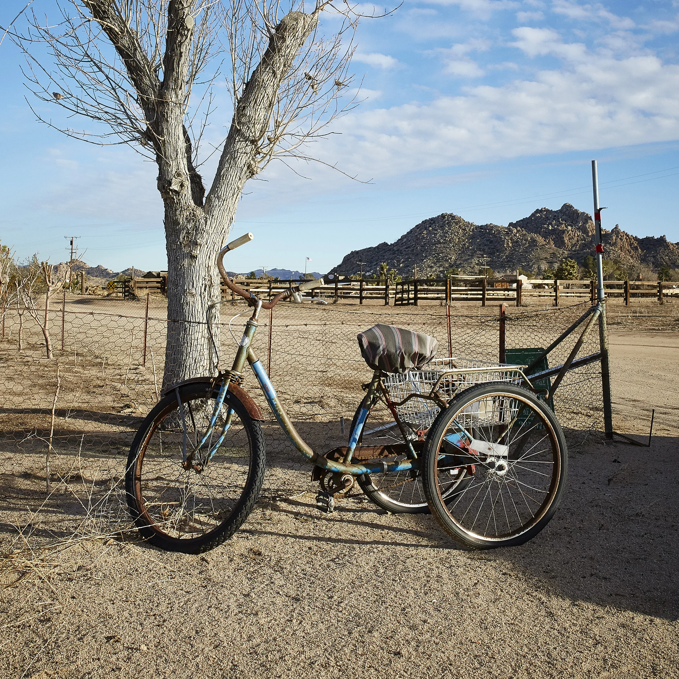 x2017-01-26x665 1.jpg