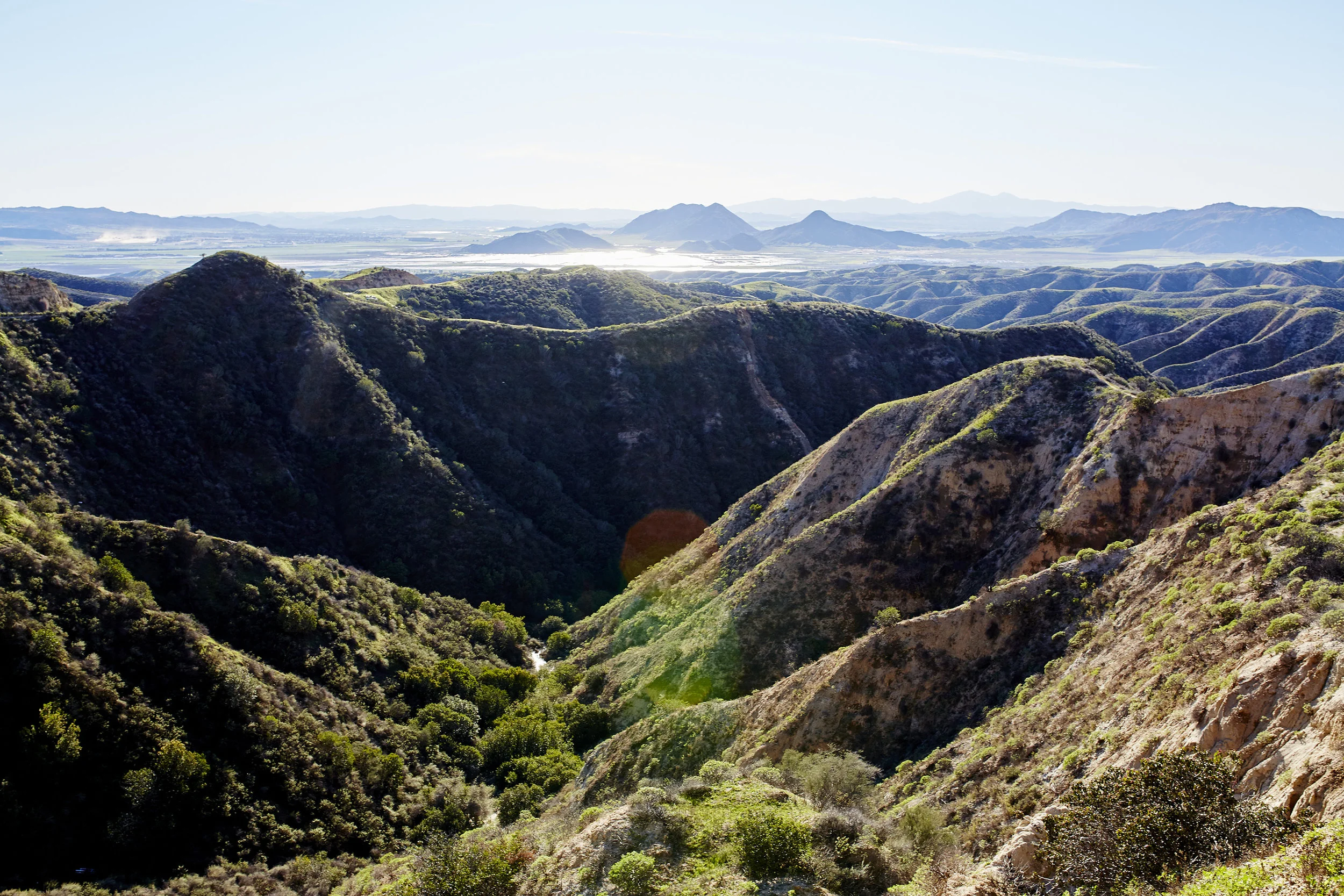 x2017-01-27x4011 1.jpg