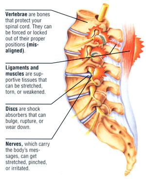 lowbackpain-spine.jpg