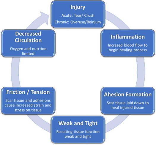 Cumulative Injury Cycle.png