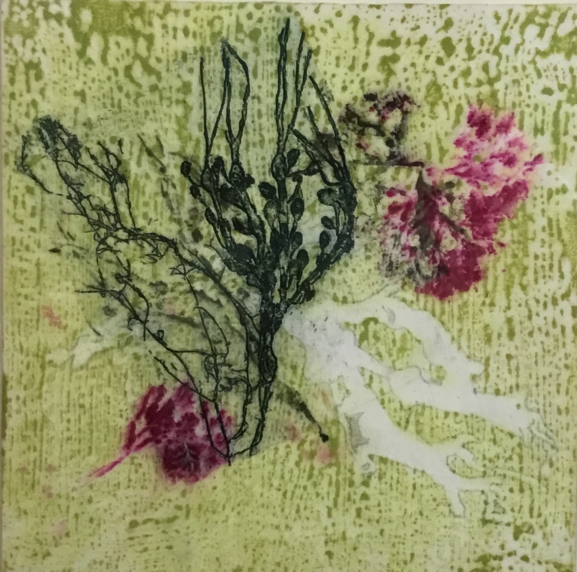 “SEAWEEDS” - Etching, and dyes on muslin 14.5”x 15”
