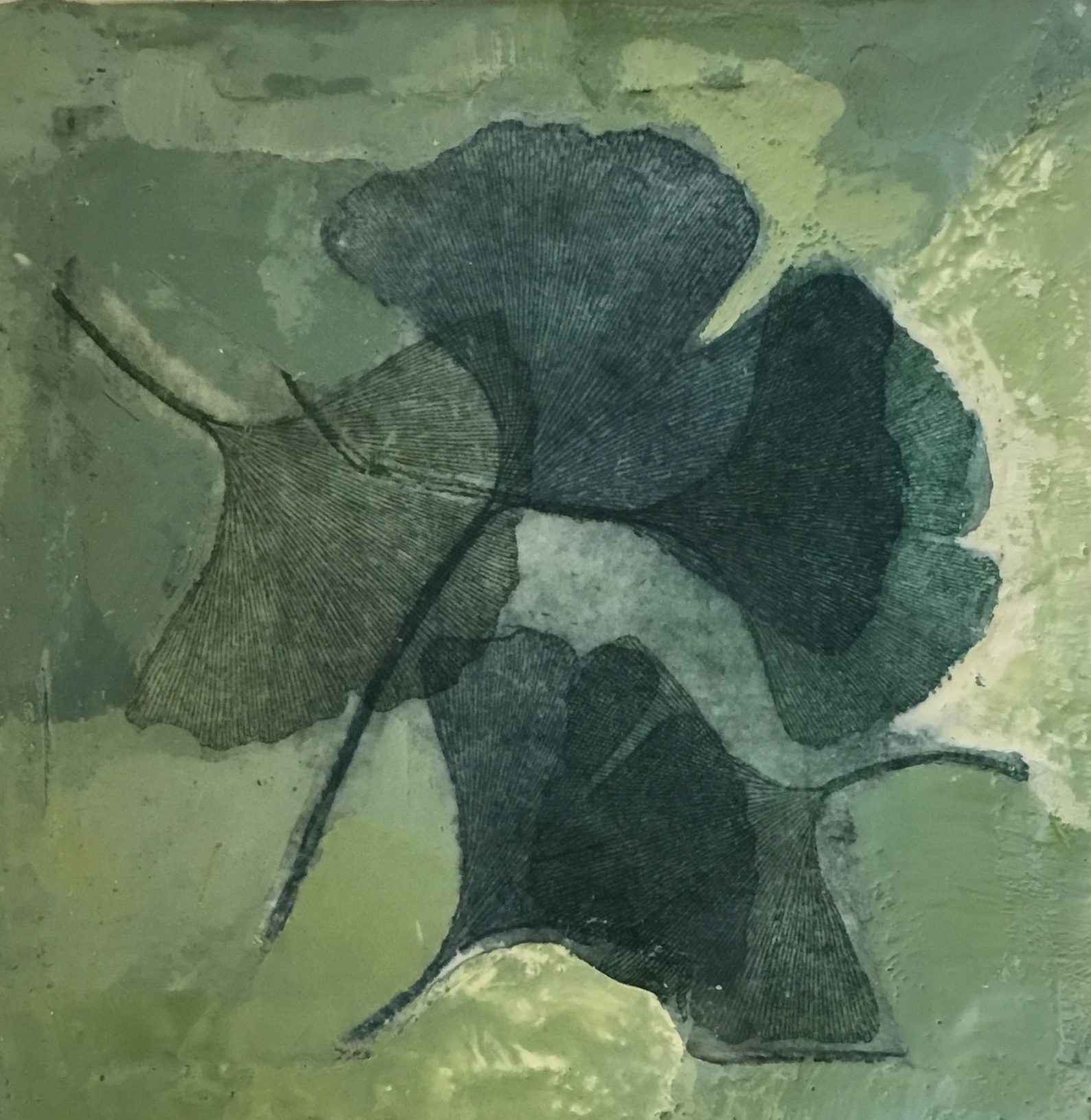 "GINKOES" - Etching, and encaustic. 7”x 7”