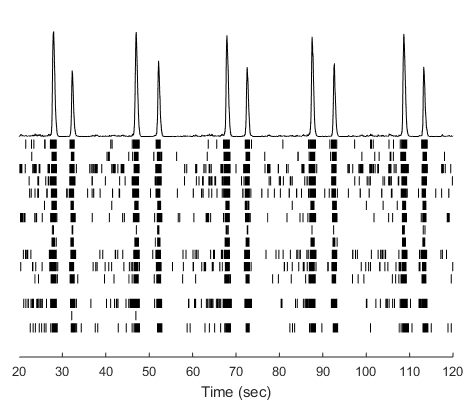 BX0350 MEA Raster example.png