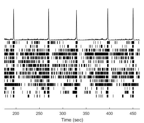 BX0450 MEA Raster example.png