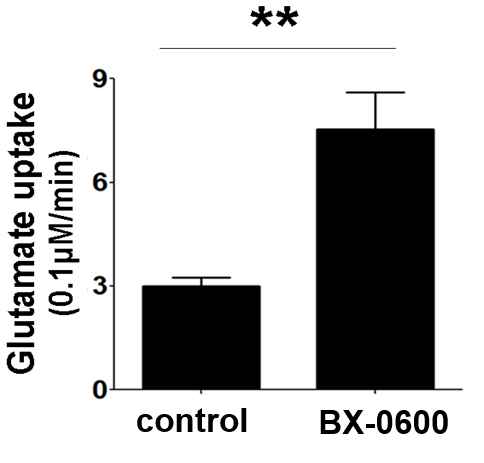 BX0600 Glut Uptake graph.png