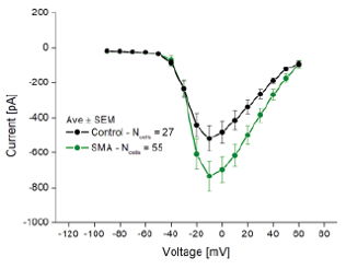 SMA IV Curve.png