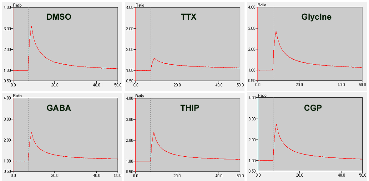 BX0100 Calcium Influx Assay.jpg