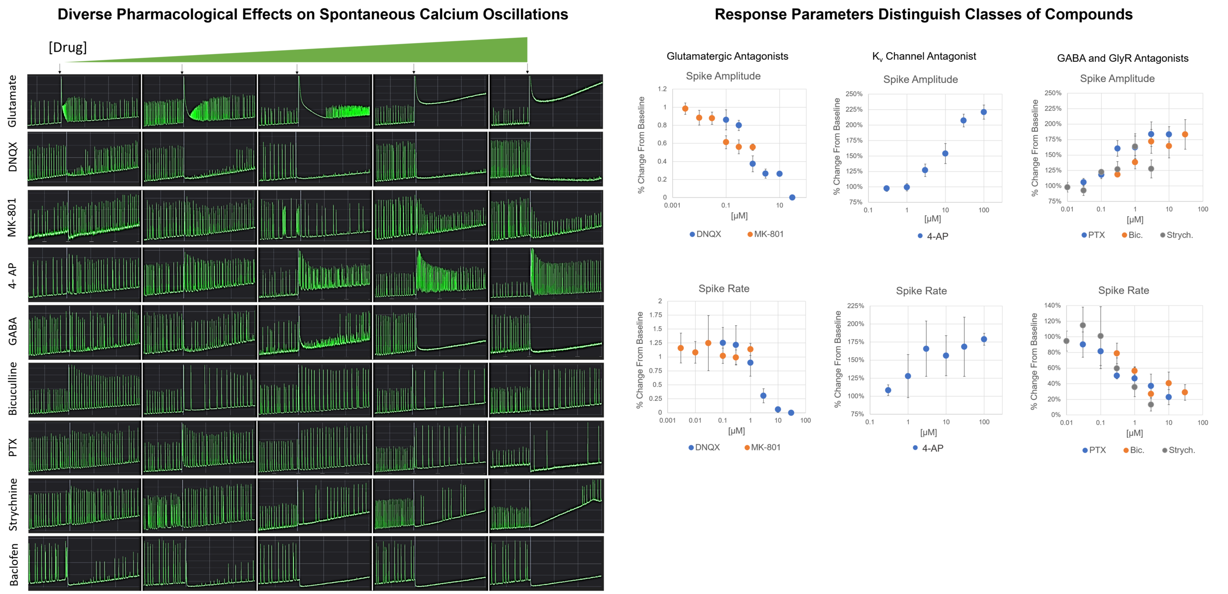 Spontaneous Calcium Oscillation Examples.png