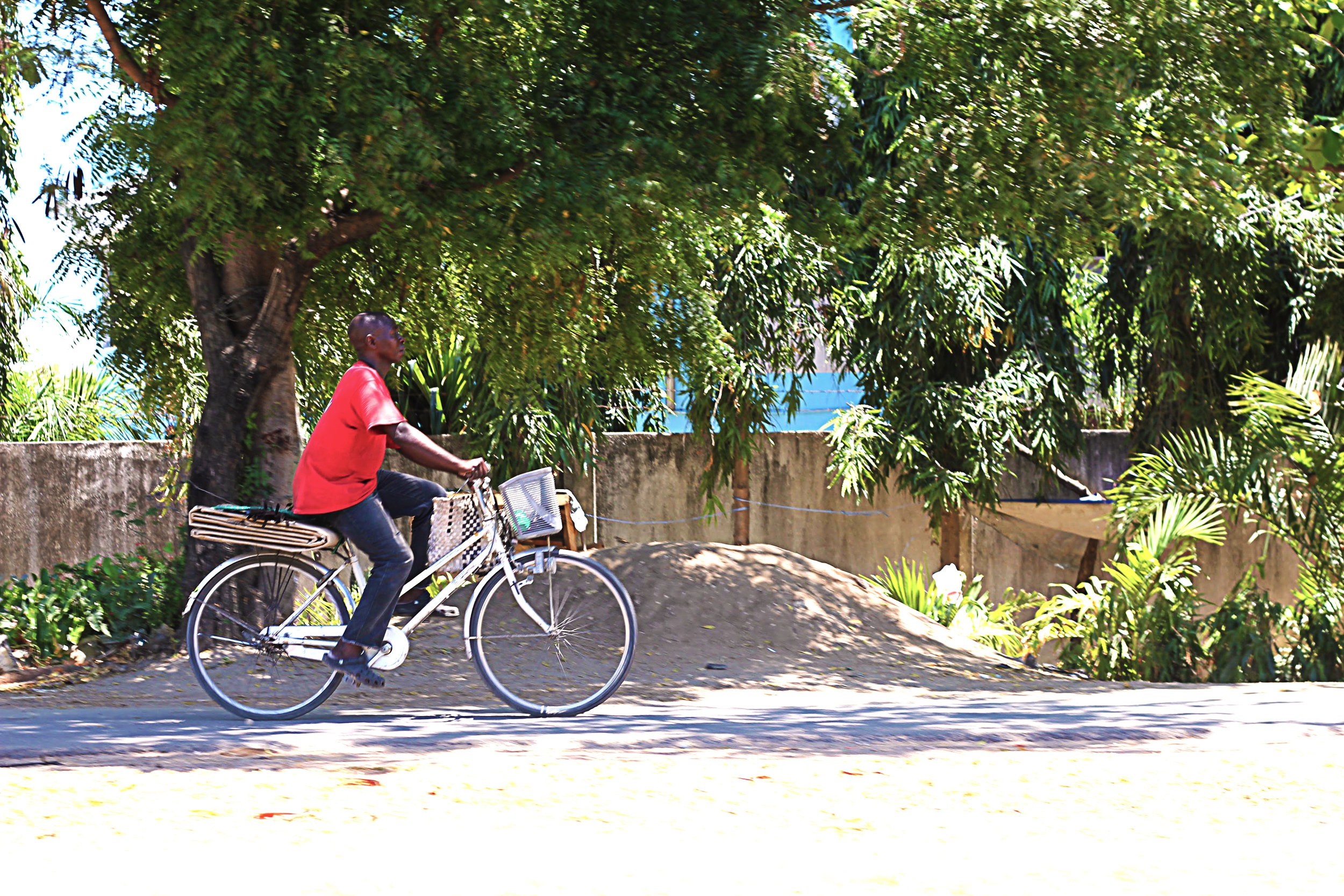 Bicyclist 1.jpg