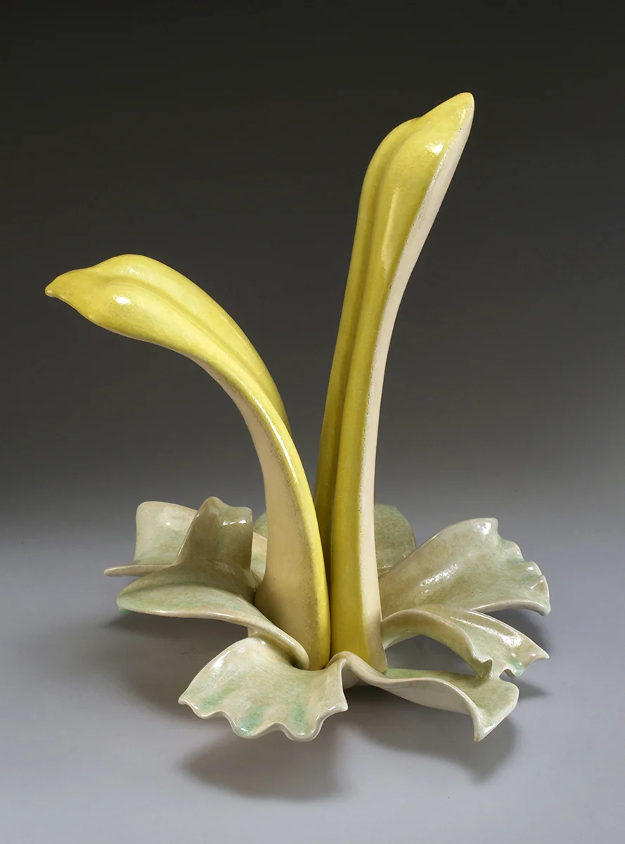 Blooming Yellow Flower
