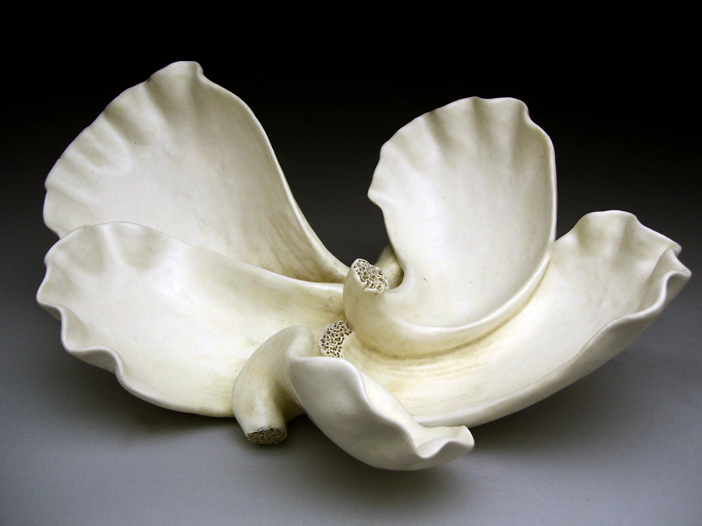 Soft Fan Shell
