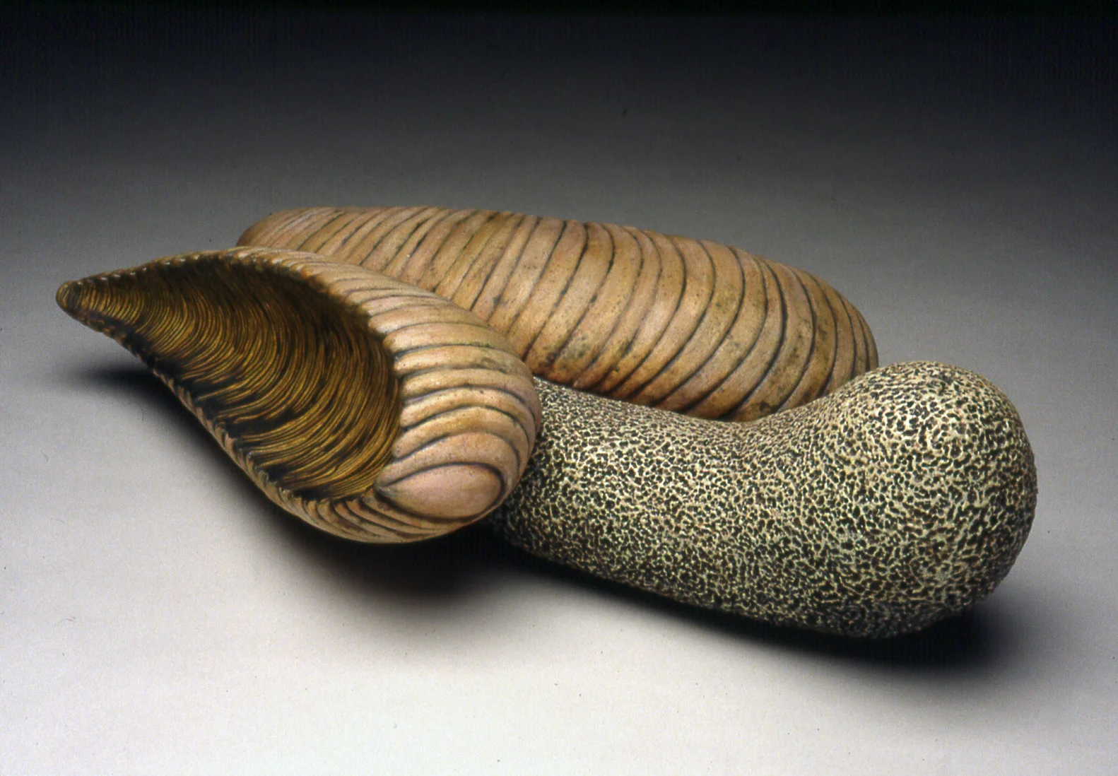 Branching Root Stock