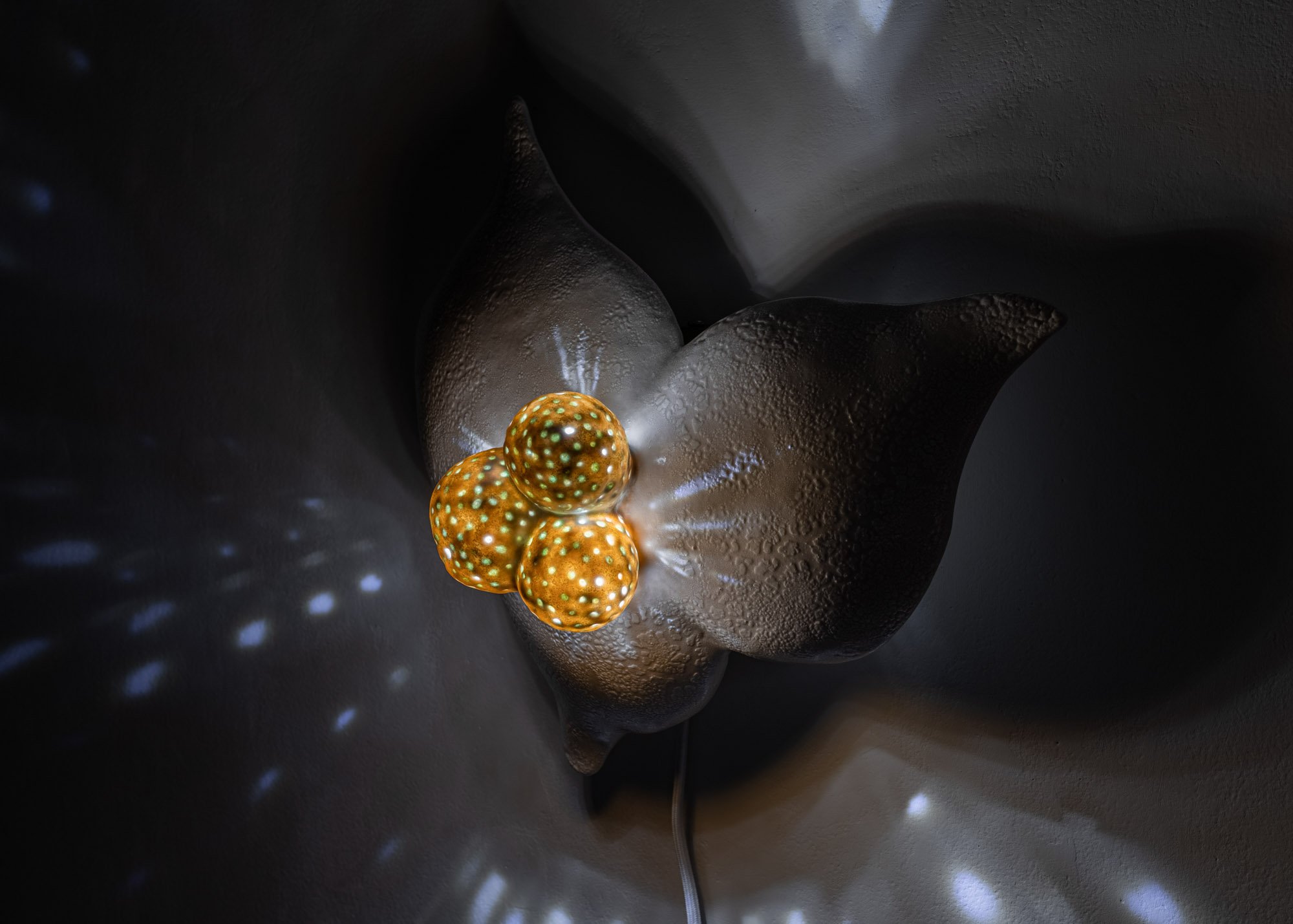 Trilobed Illuminated Flower