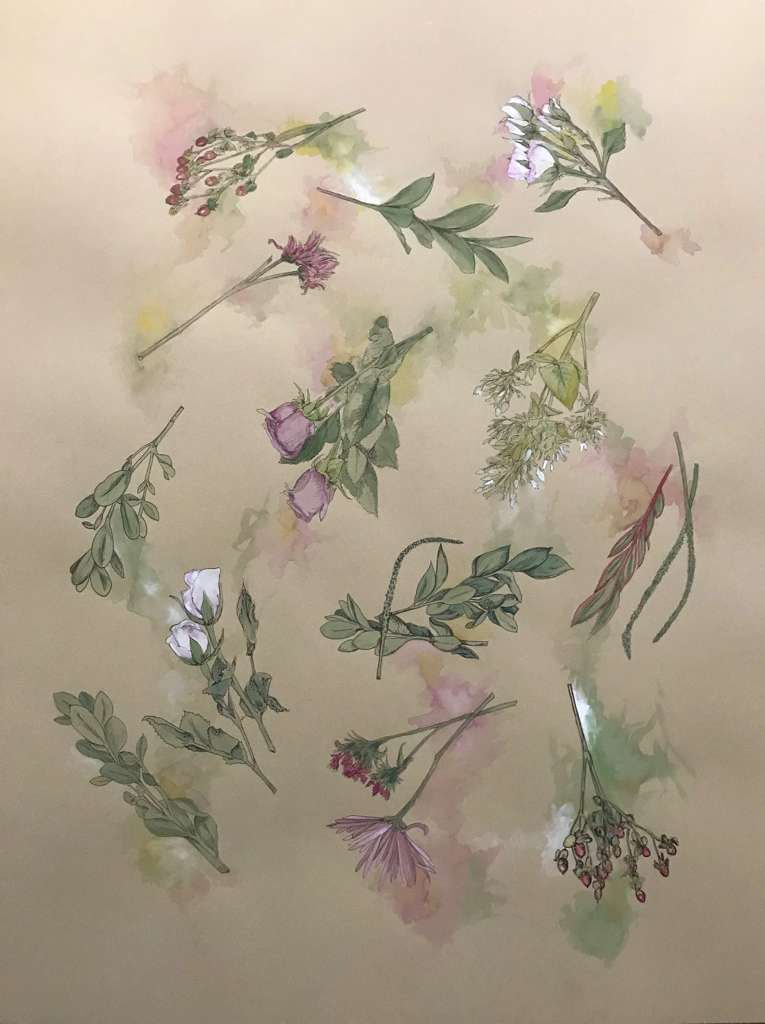 Supermarket Series (Whole Foods)