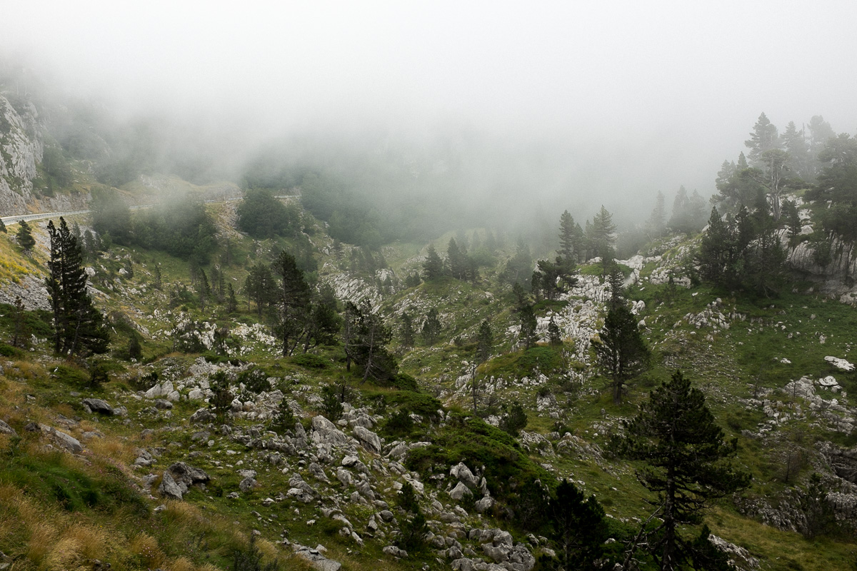 ashley-watson_from-an-outcrop-3.jpg
