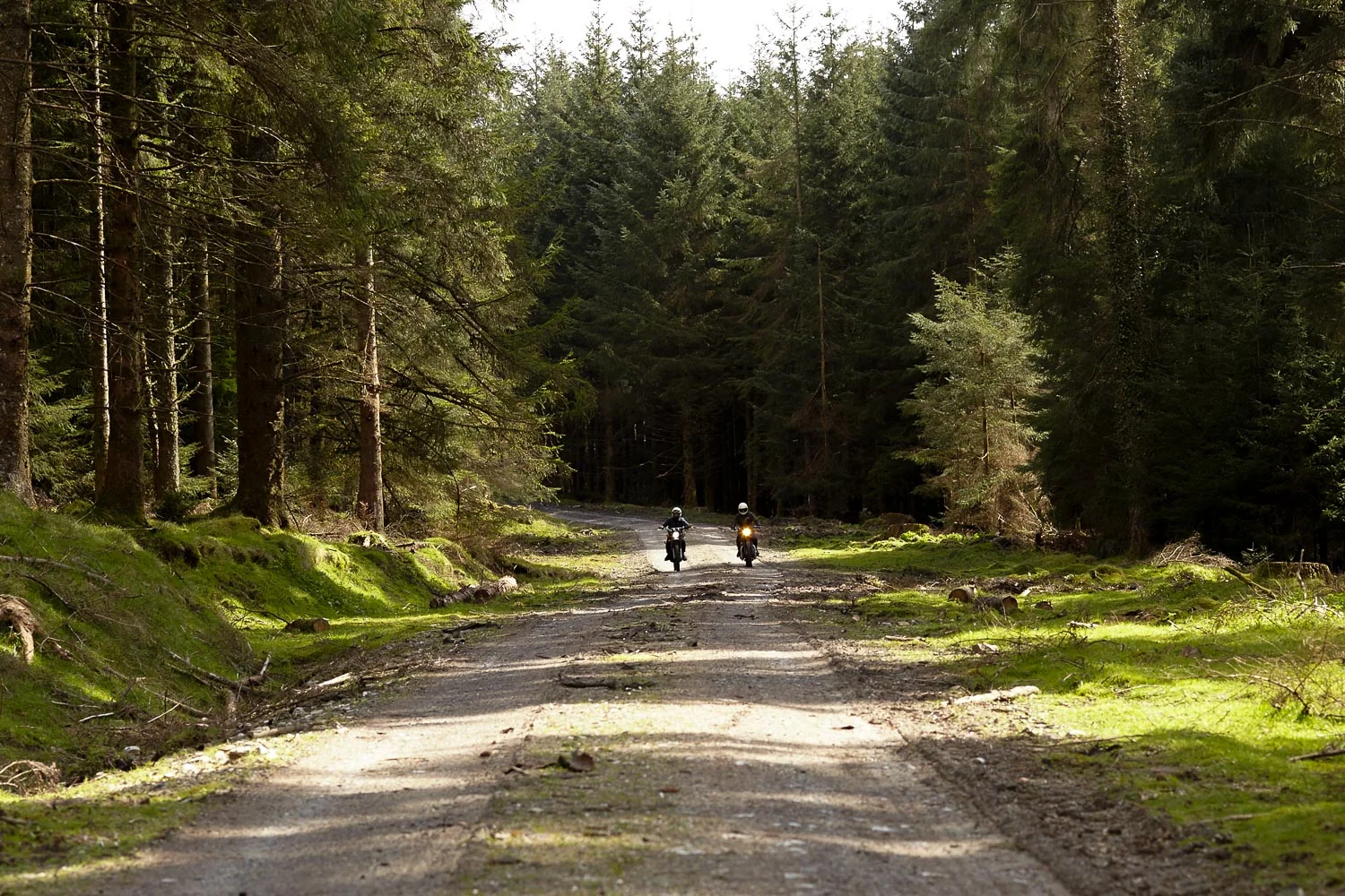 ashley-watson_dartmoor-4.jpg