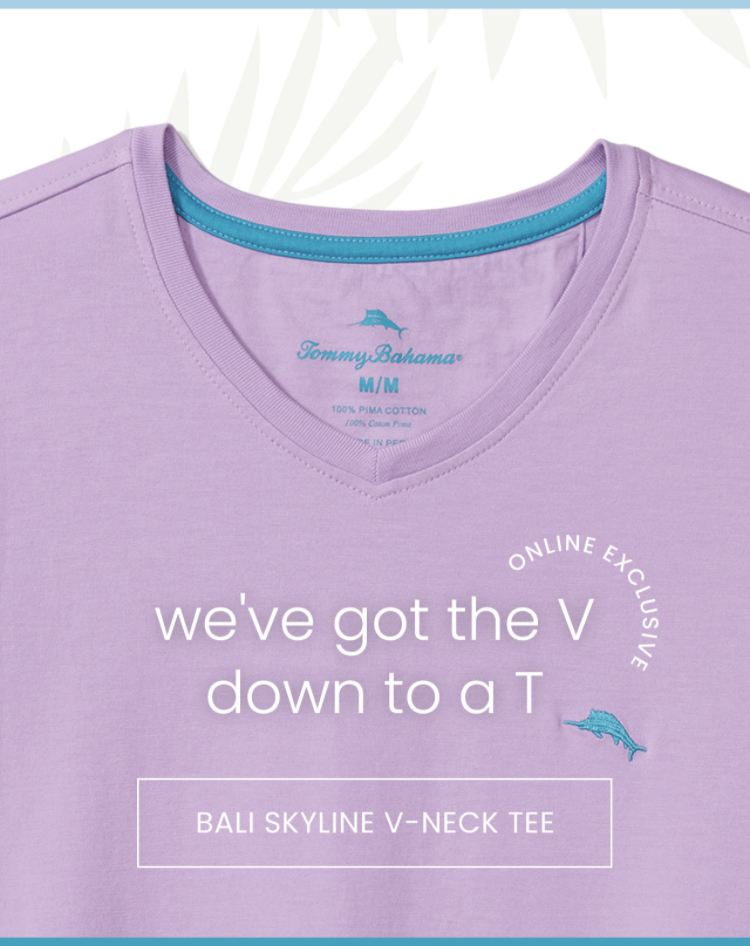 VNeckT.png