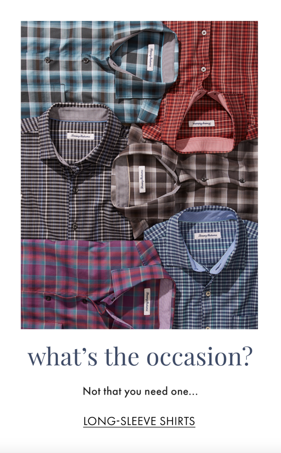 WhatsTheOccasion.png