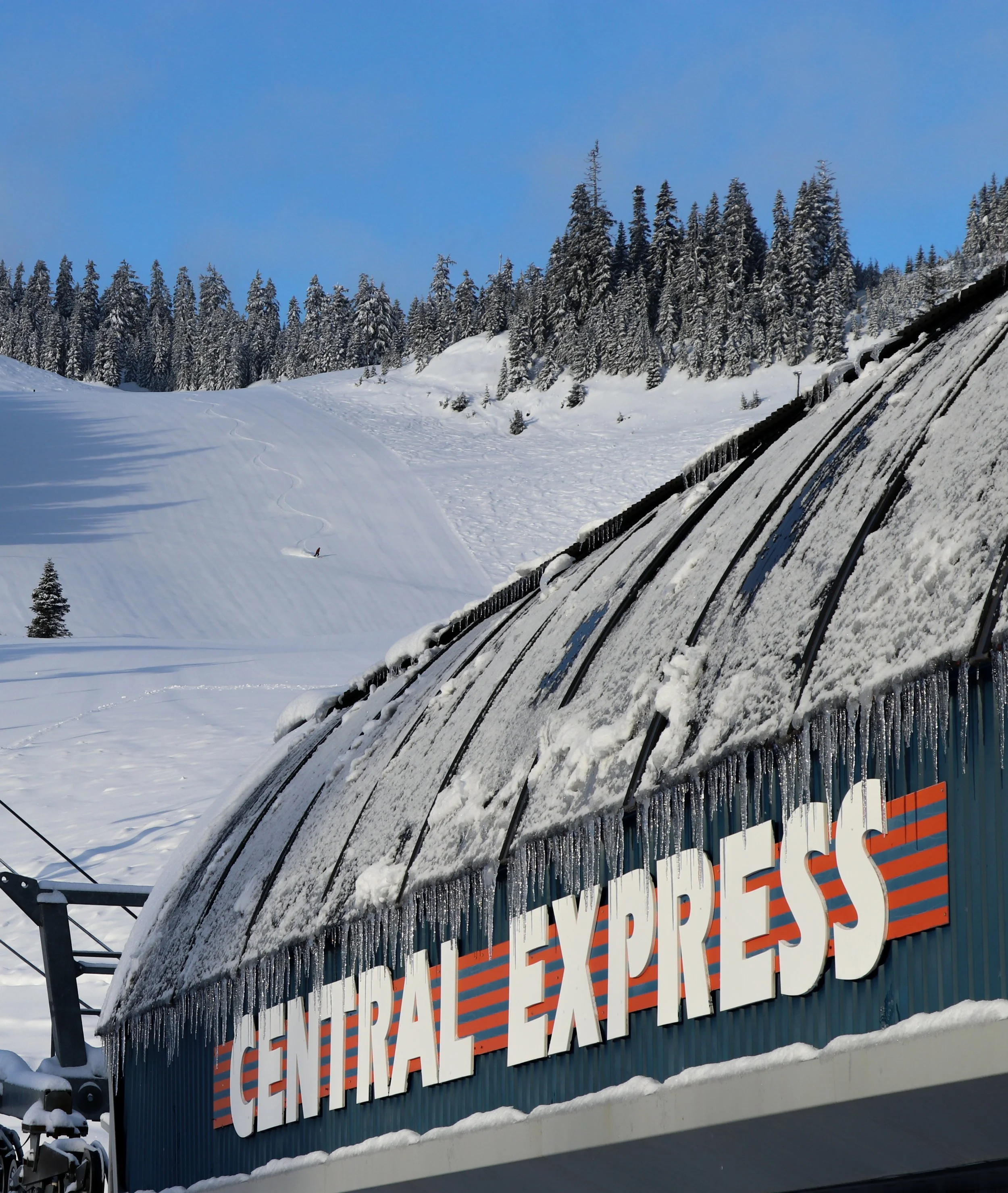CentralExpress_crop.jpg
