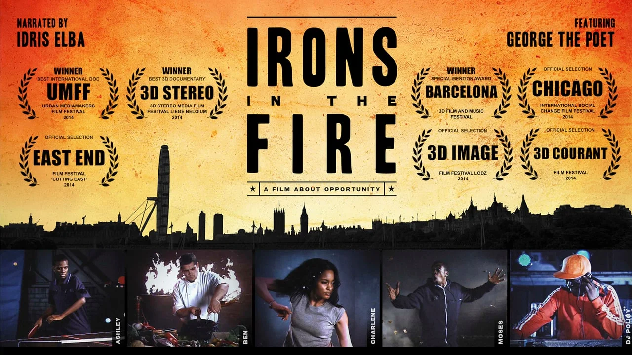 Irons in the Fire (2014)