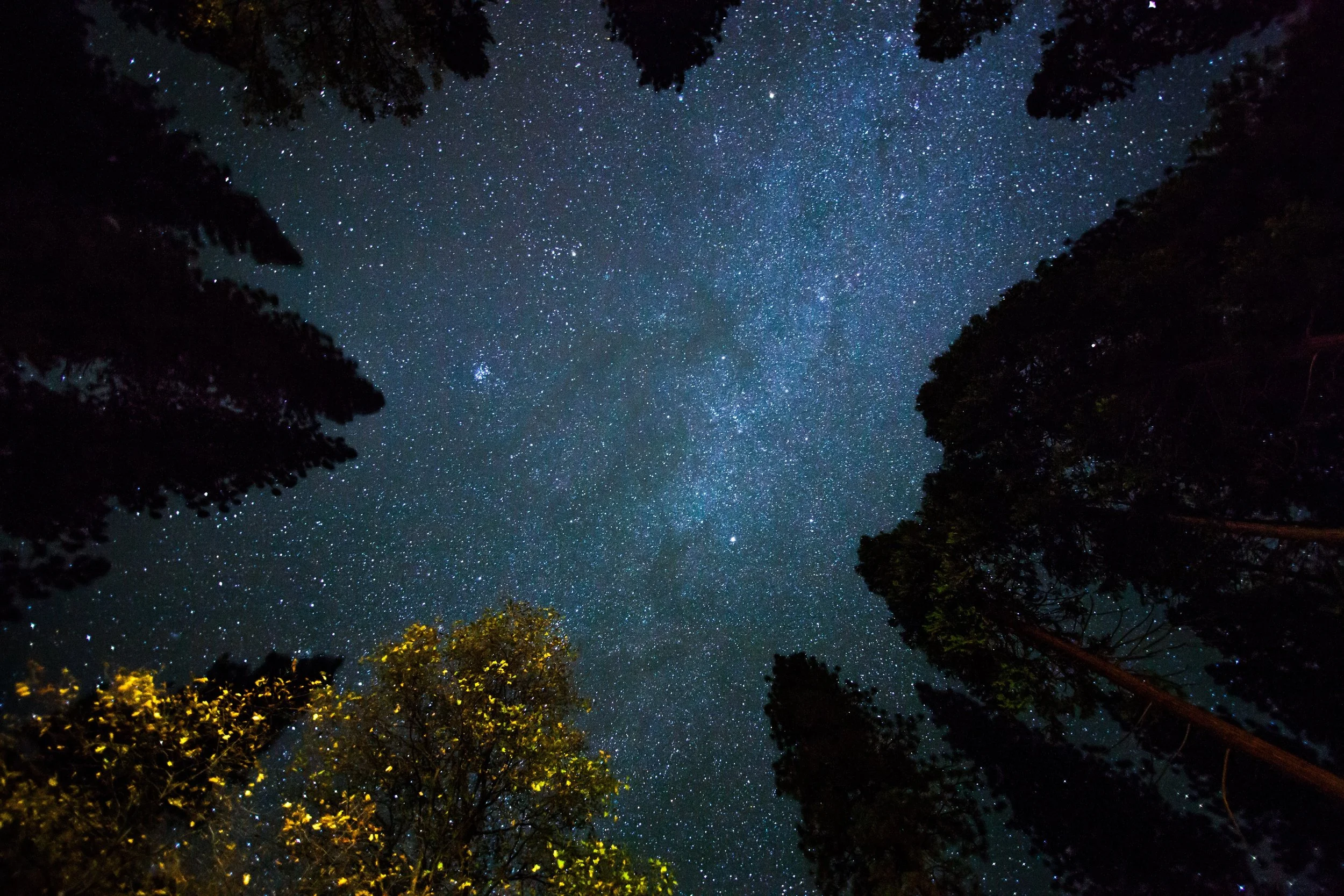 Photo by Taylor Leopold on Unsplash