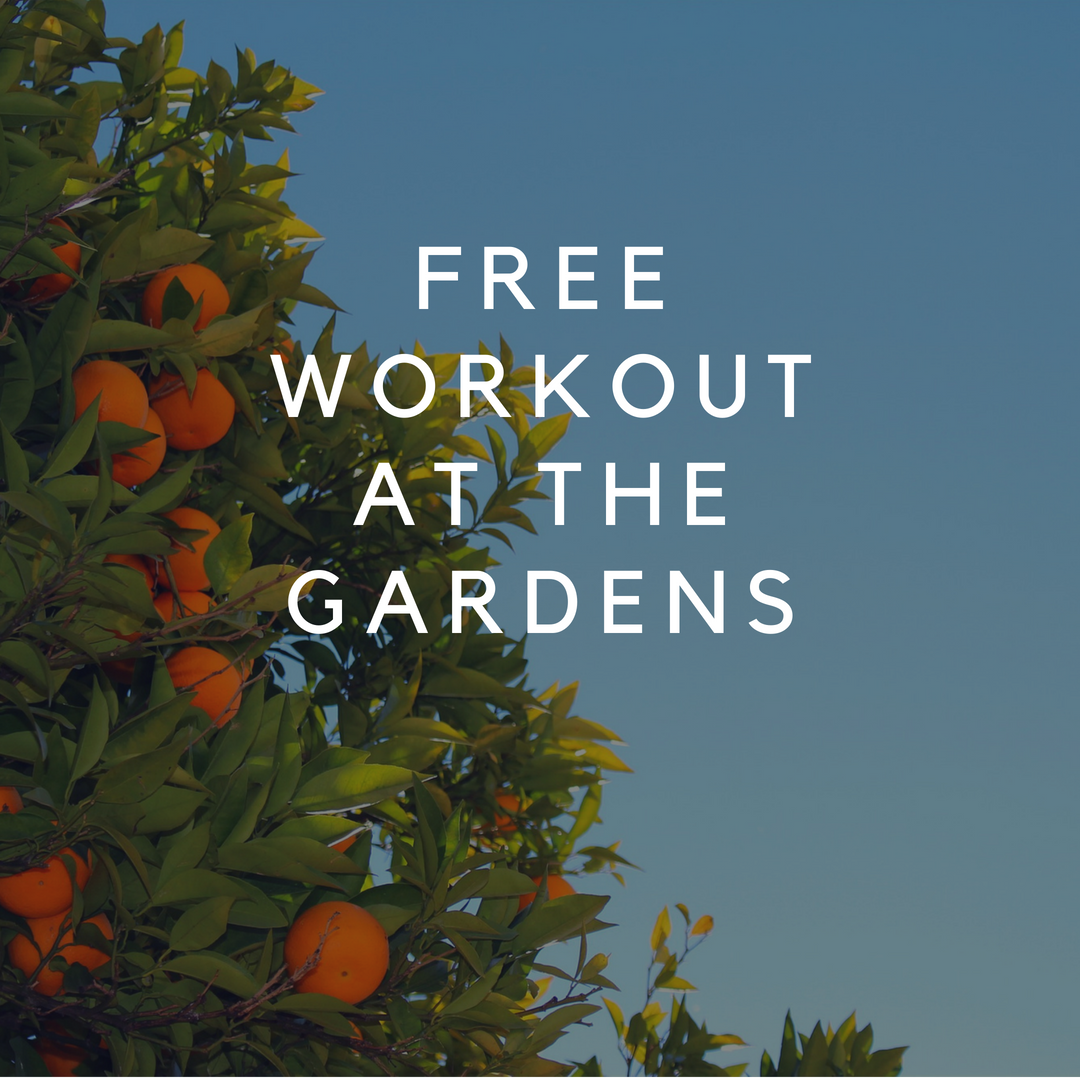 Copy of Free workout on the Beach.png