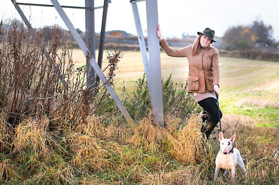 Scotland Dog Training - White Bull Terrier in field