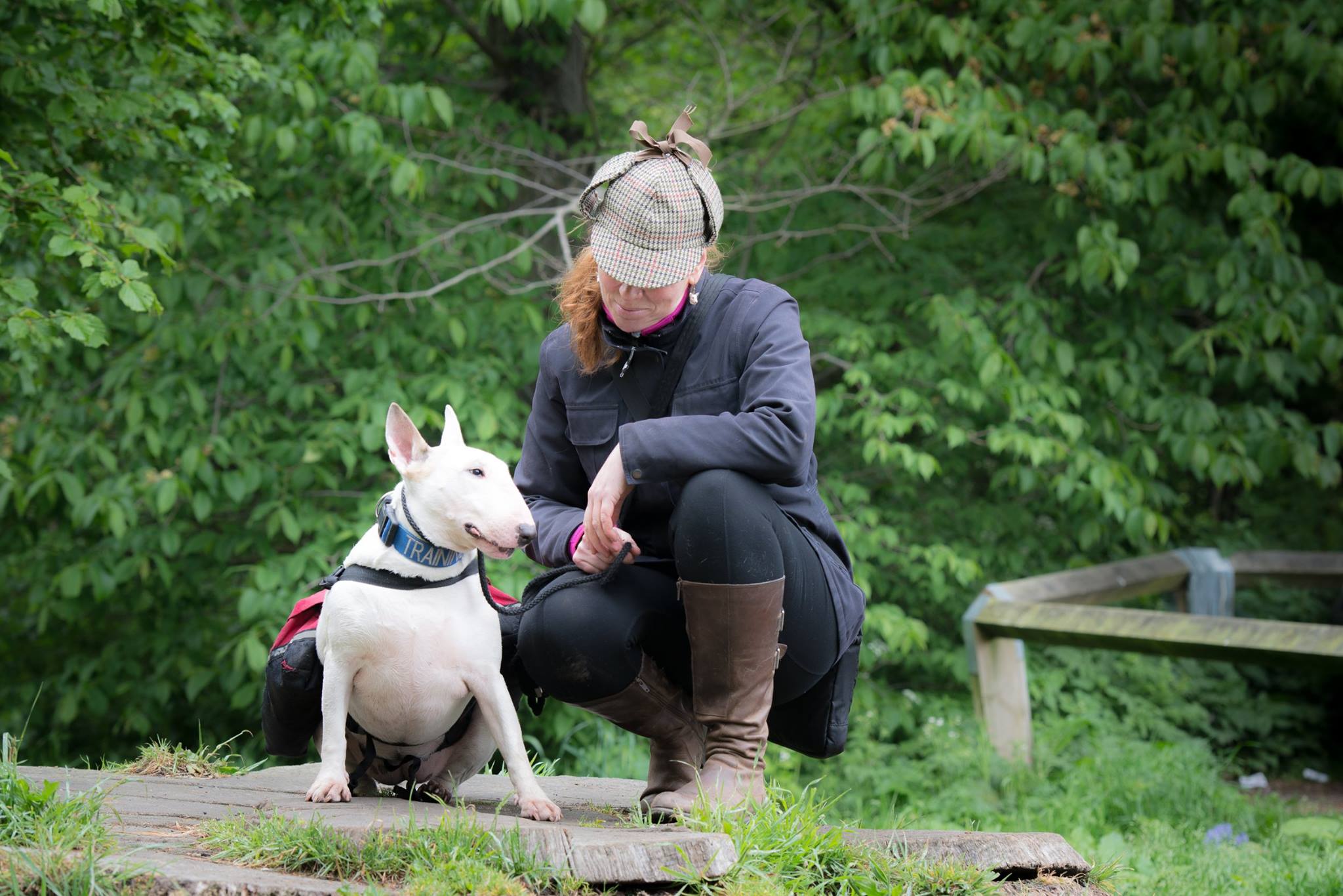 Edinburgh Dog Behaviour Modification