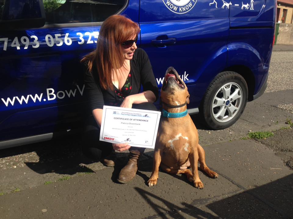 Dog behaviour training - Training certificate award