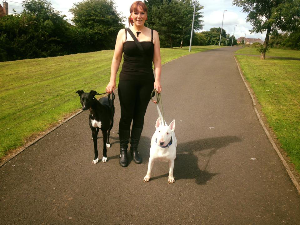 Dog behaviour training in Edinburgh - Teaching dogs to walk on leash