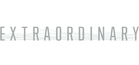 IDENTITY / collection wordmark