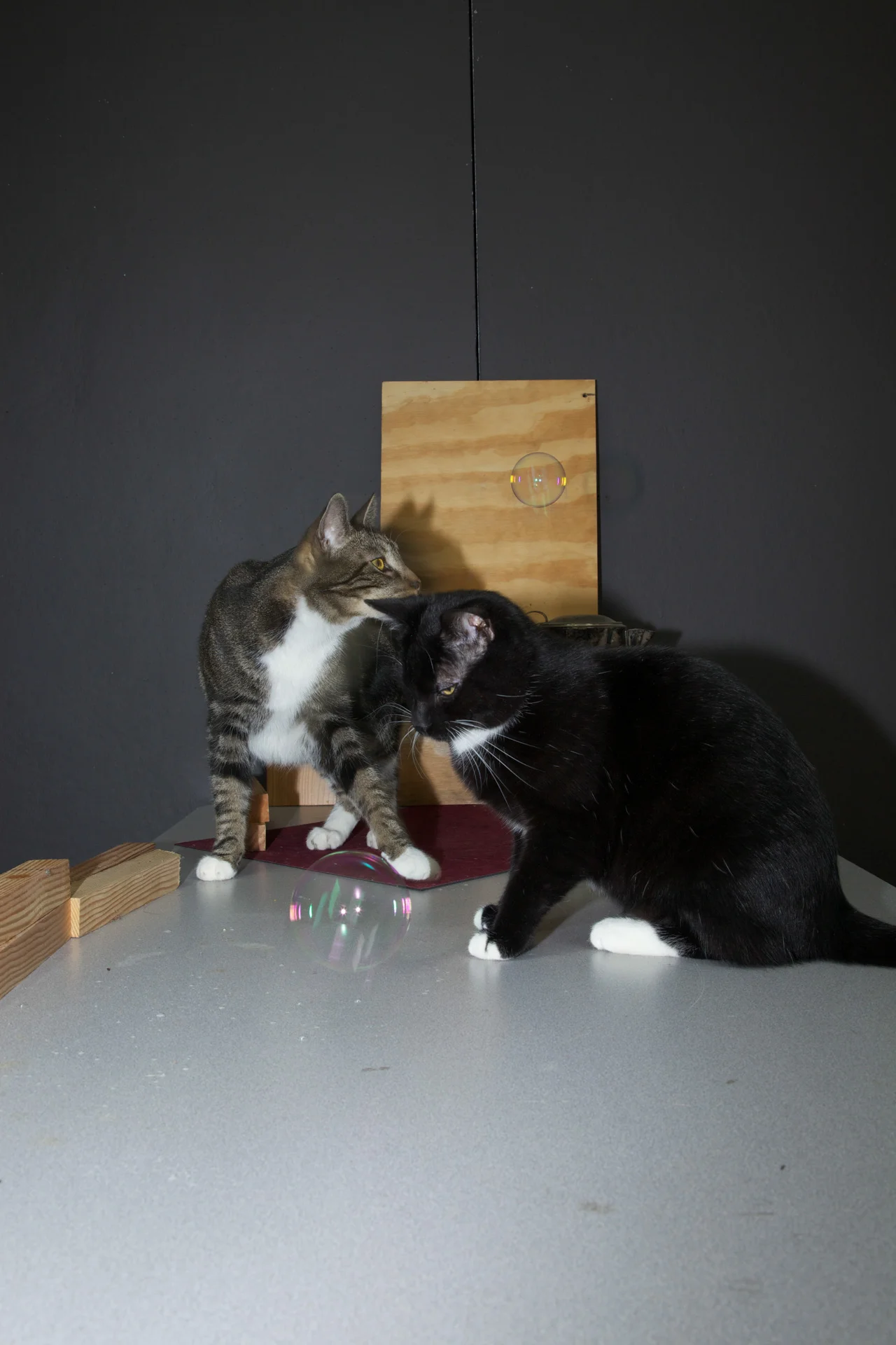 Jacob and Rayburn Enjoy the Bubbles