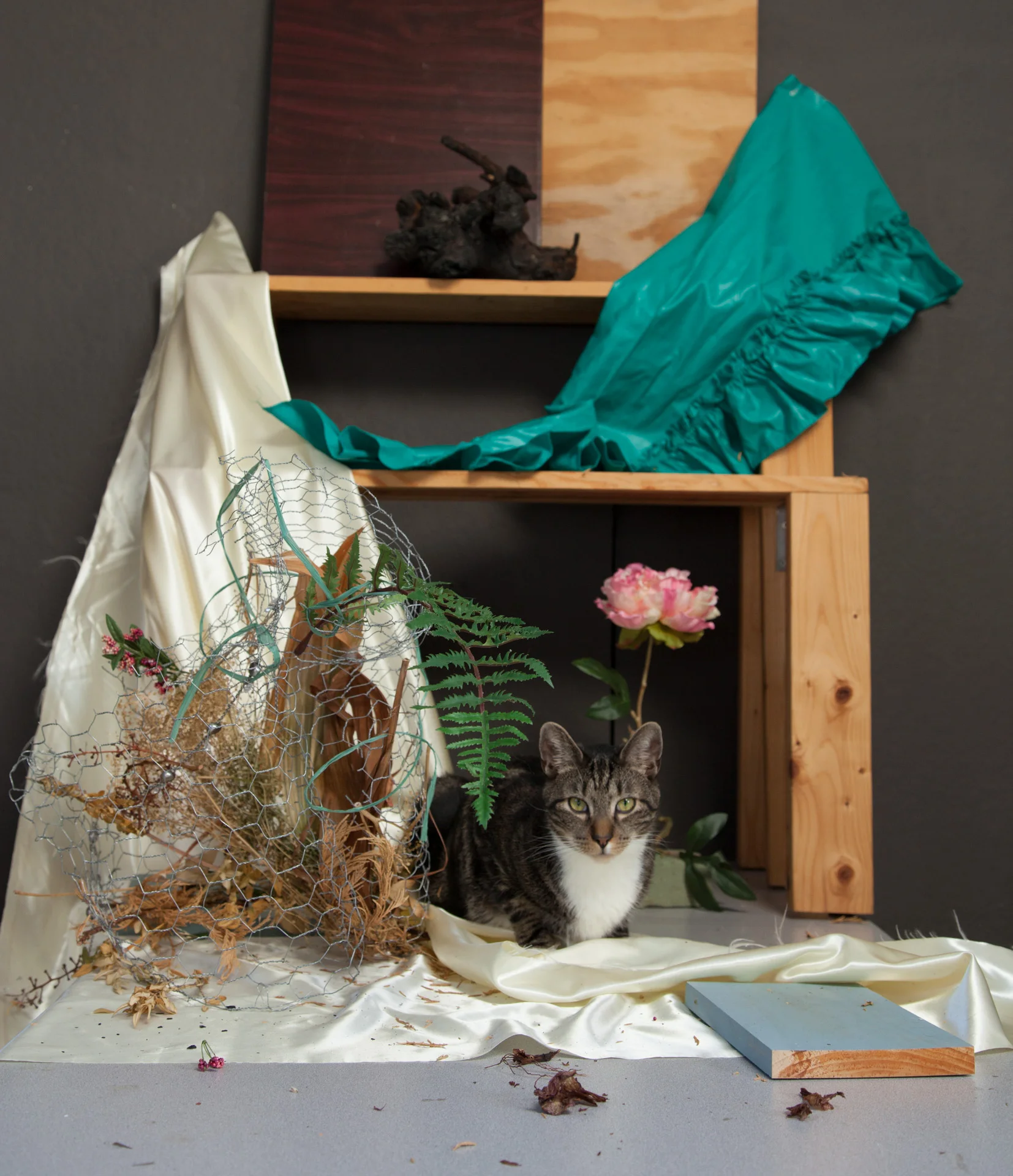 Jacob and the Still Life, Calm