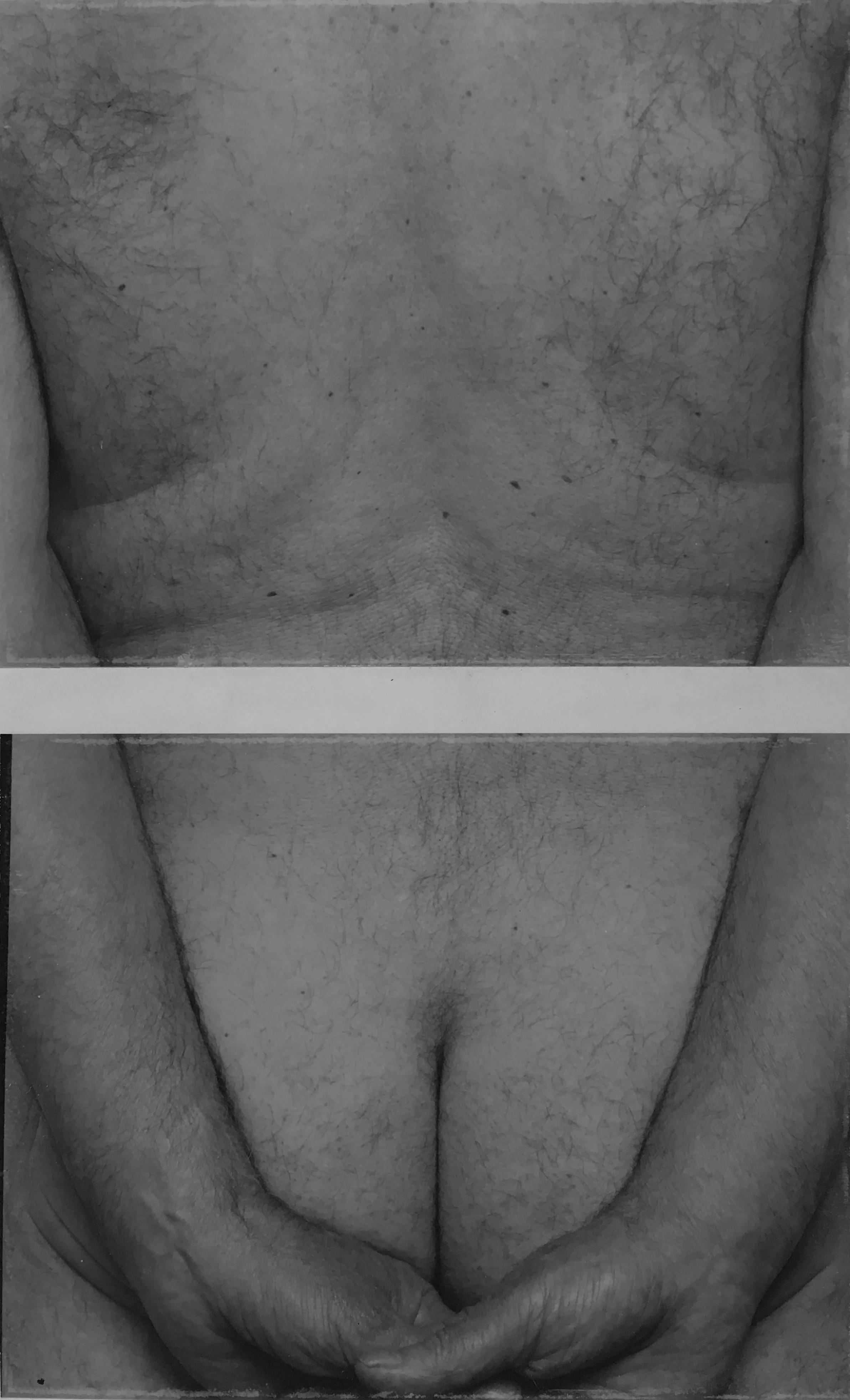 10. (SP 1 92) Back No. 7, 1992.jpg