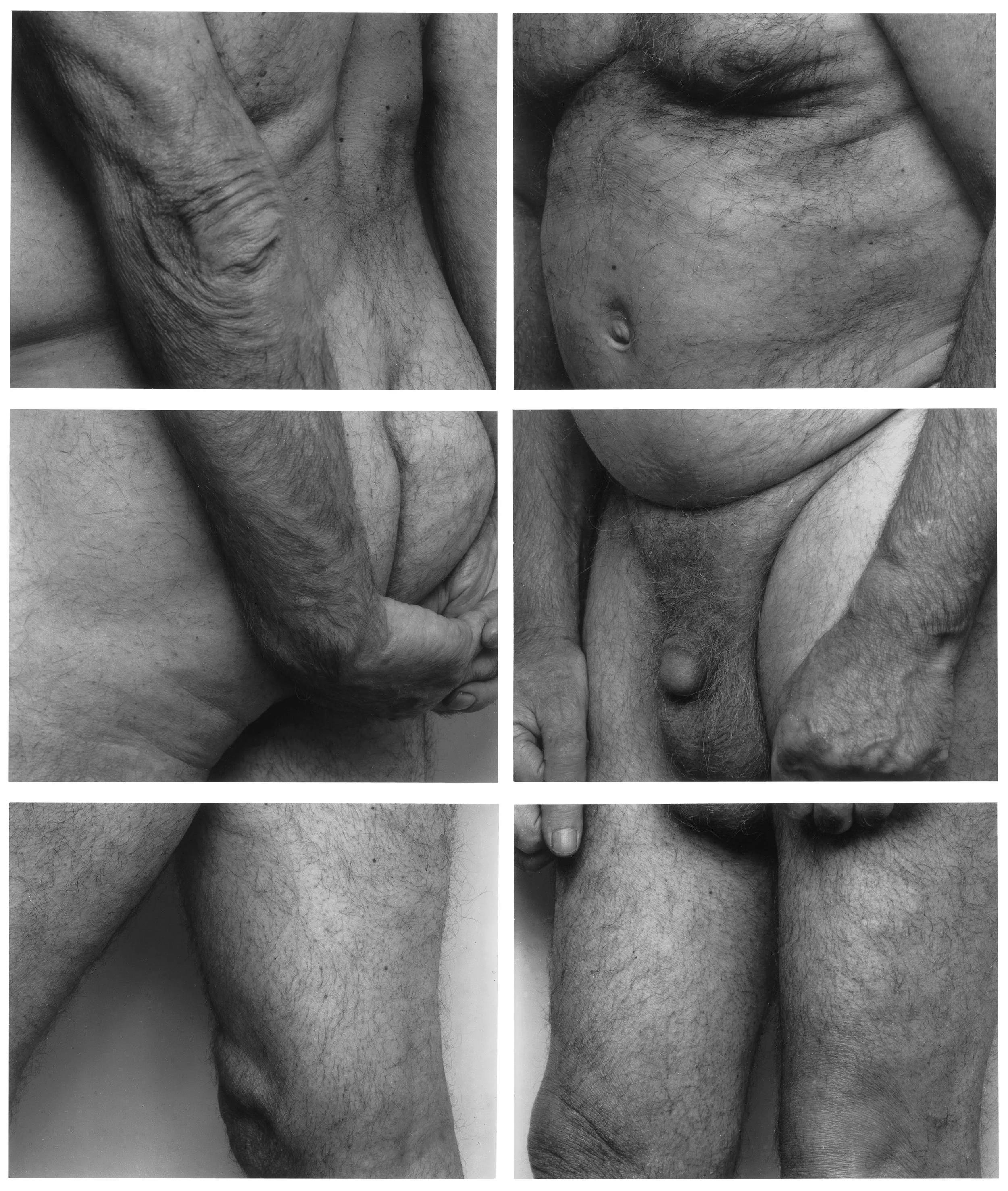 Frieze, No. 1, Two Panels, 1994 copy.jpg