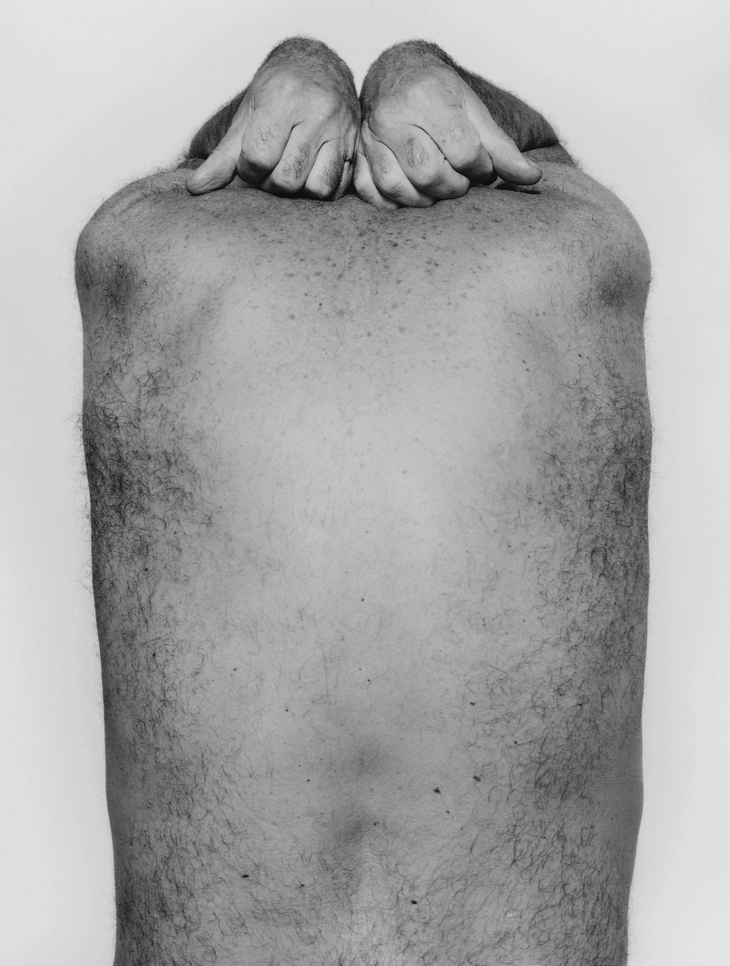 Back and Hands, 1984, 31 x 24.5.jpg