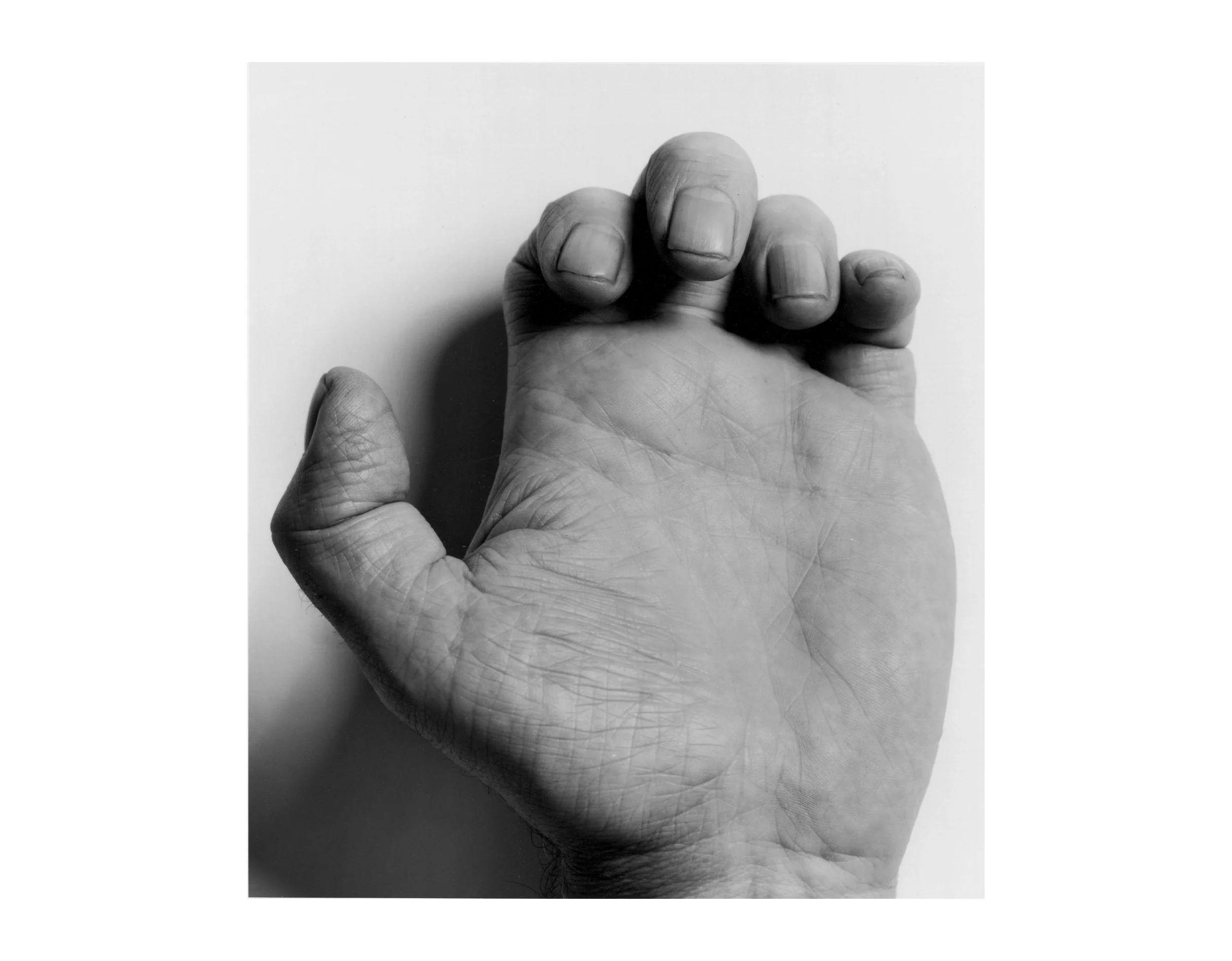 Hand, Left Thumb Out, 1988.jpg
